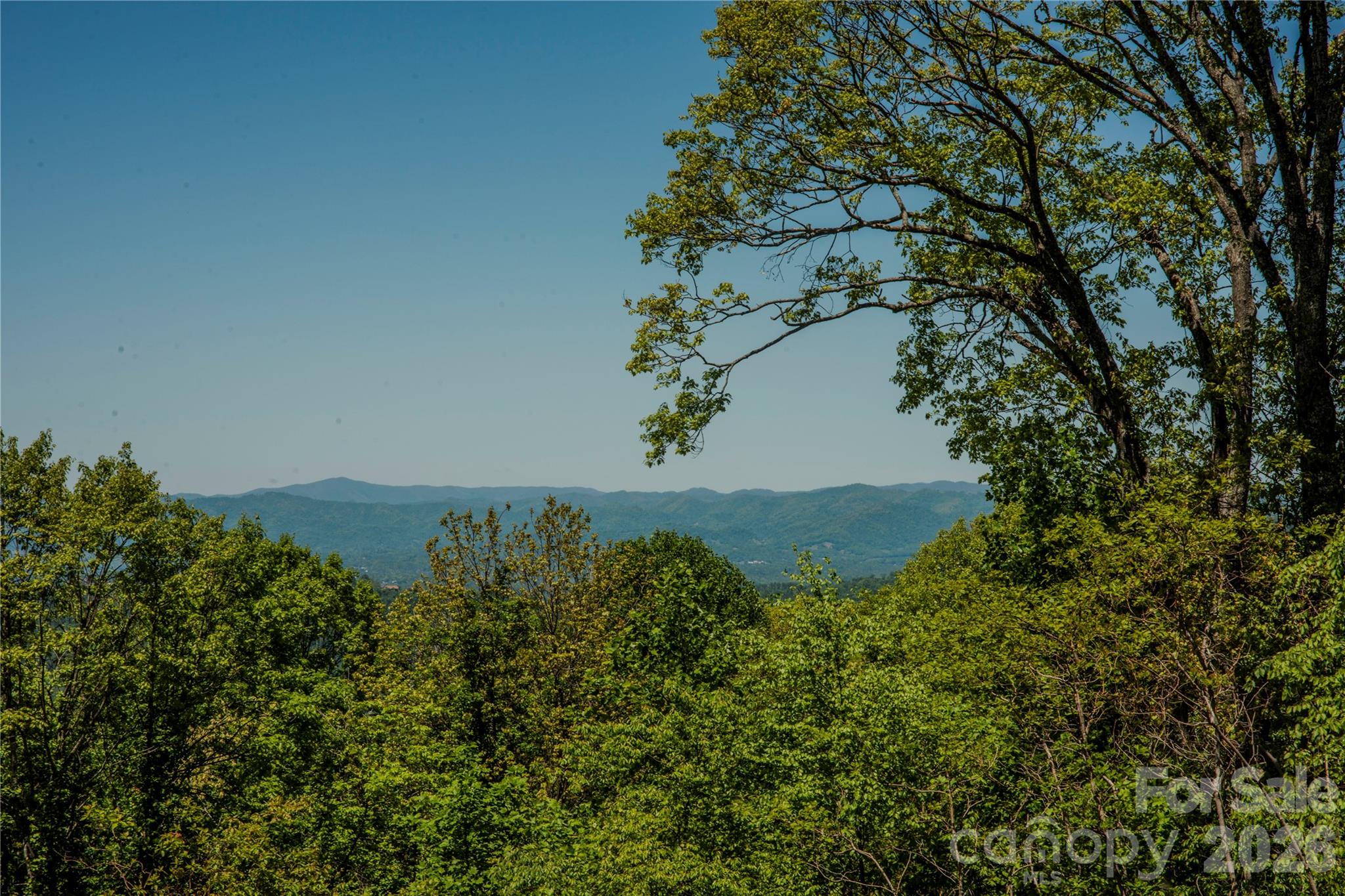700 Elk Mountain Scenic Highway Property Photo 8