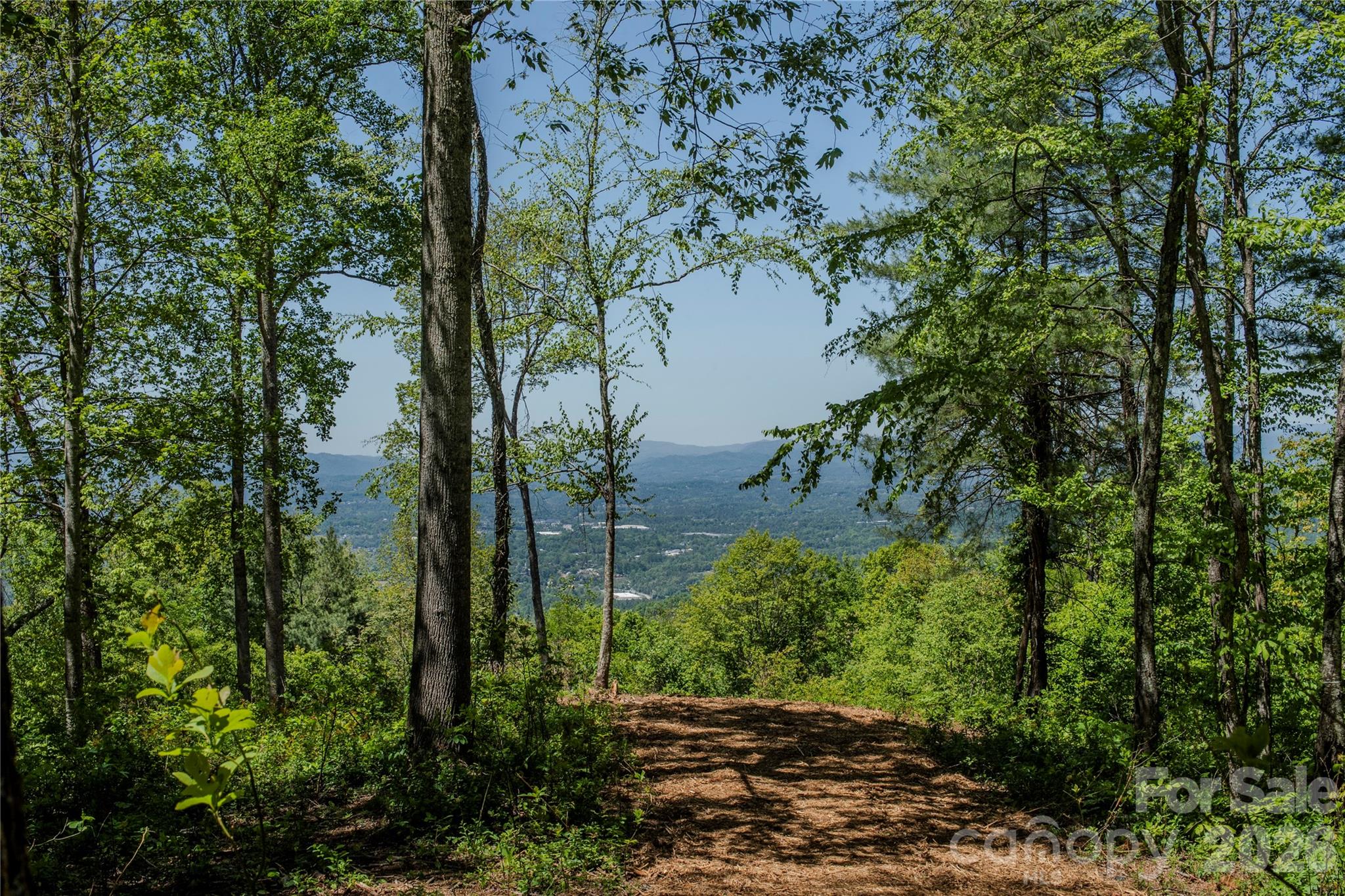 700 Elk Mountain Scenic Highway Property Photo 9