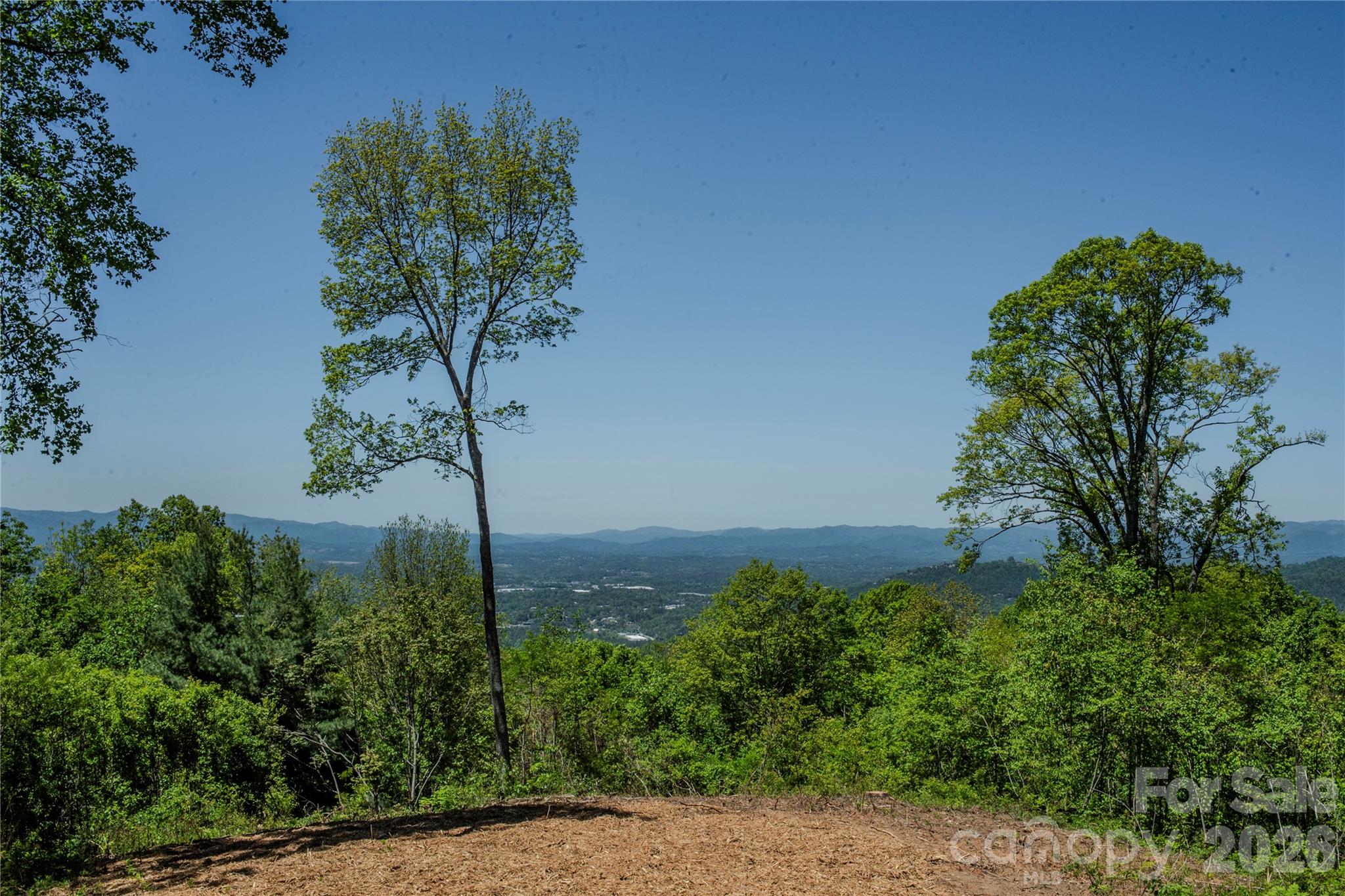 700 Elk Mountain Scenic Highway Property Photo 11