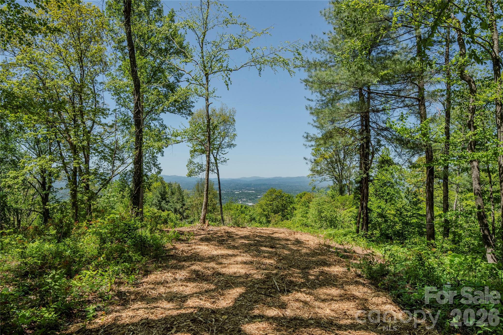 700 Elk Mountain Scenic Highway Property Photo 13