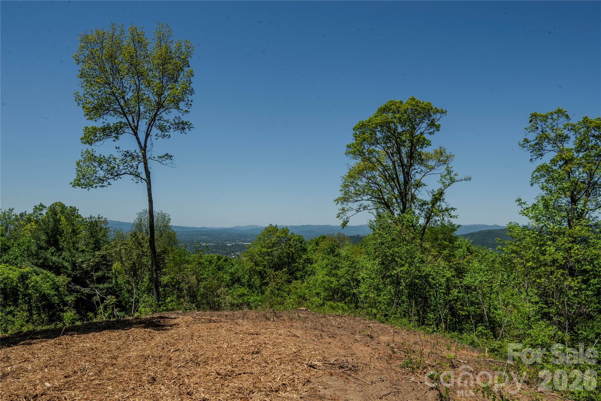 700 Elk Mountain Scenic Highway Property Photo 14
