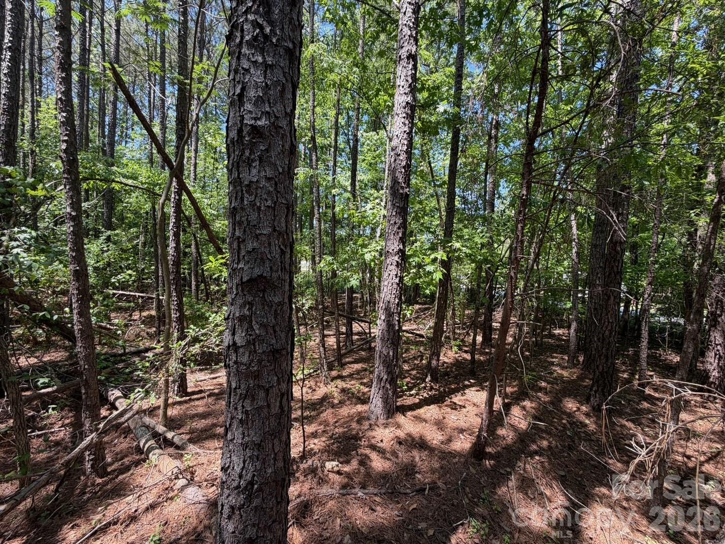 7 Ac Terry Drive Highway Property Photo 3