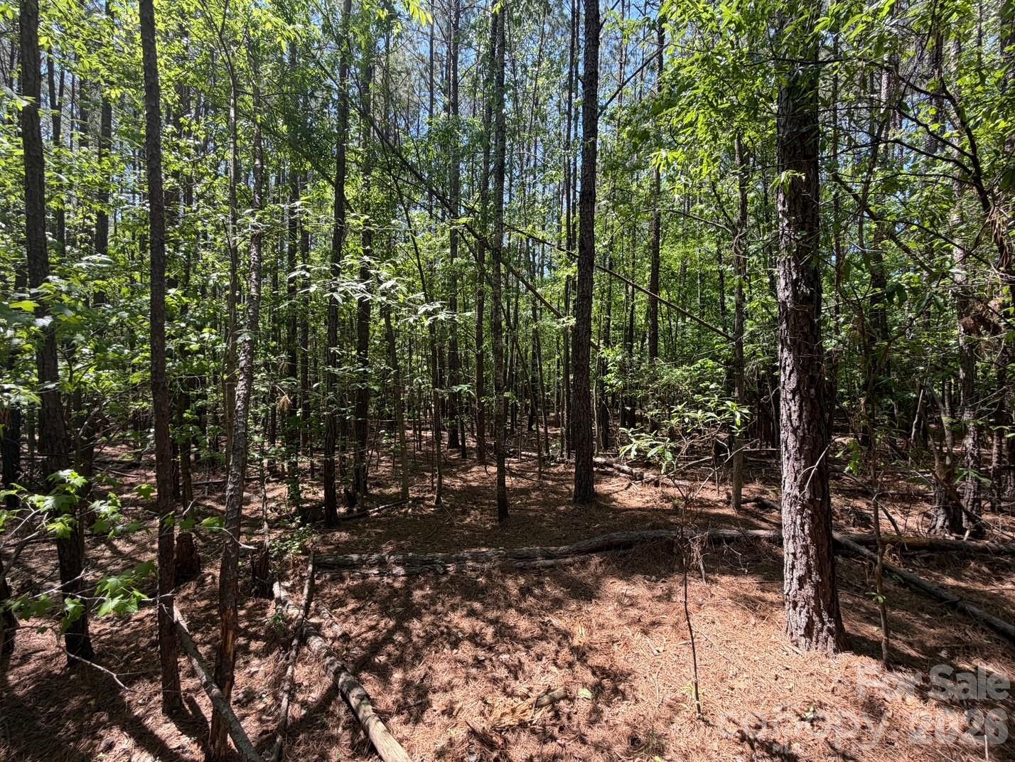 7 Ac Terry Drive Highway Property Photo 4