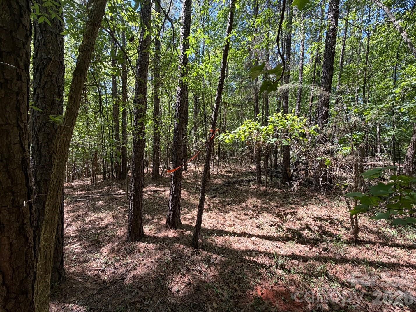 7 Ac Terry Drive Highway Property Photo 6