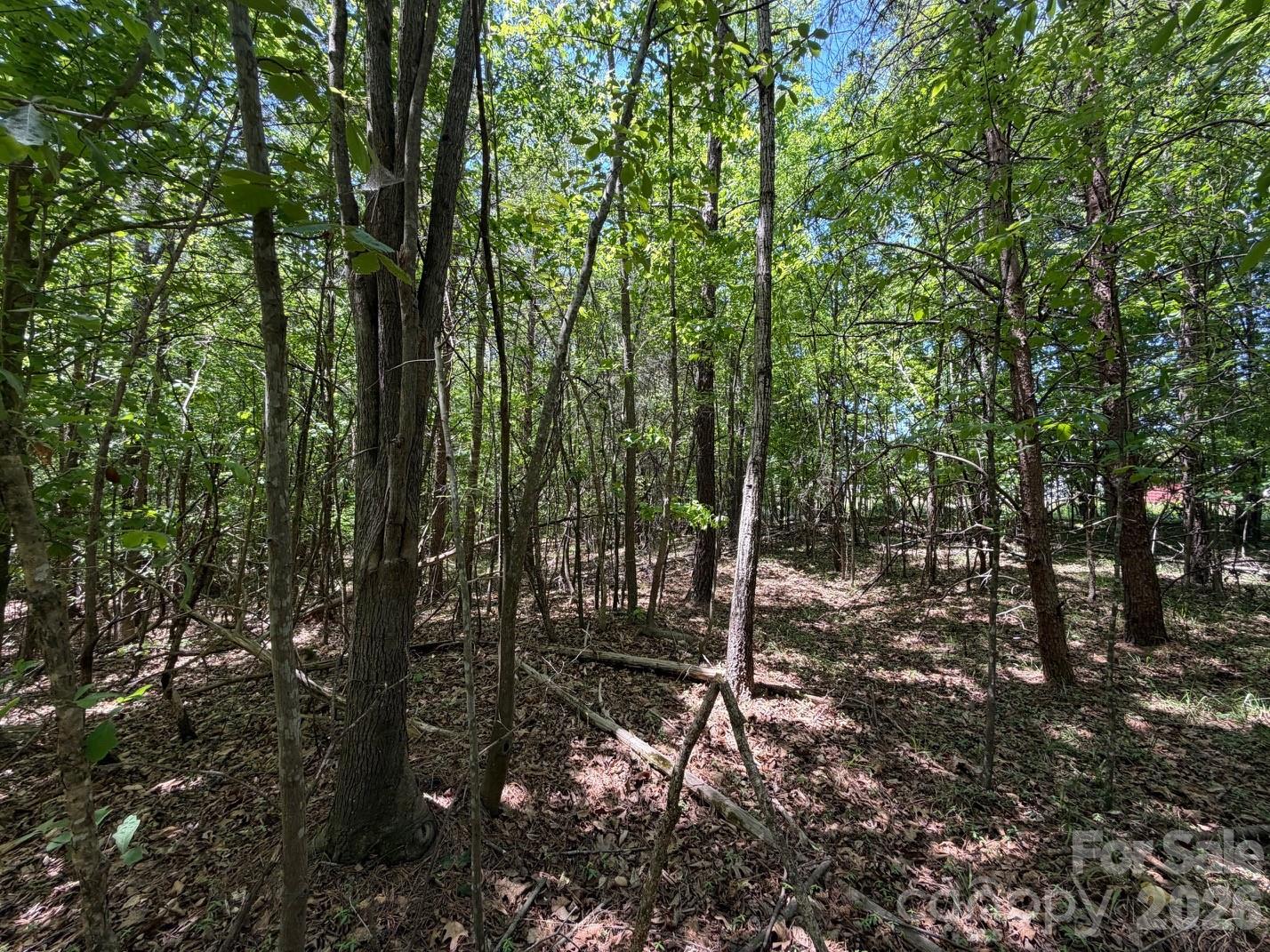 7 Ac Terry Drive Highway Property Photo 7