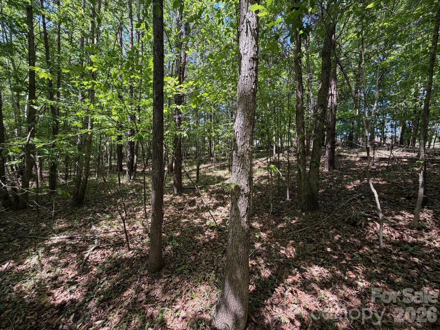 7 Ac Terry Drive Highway Property Photo 8