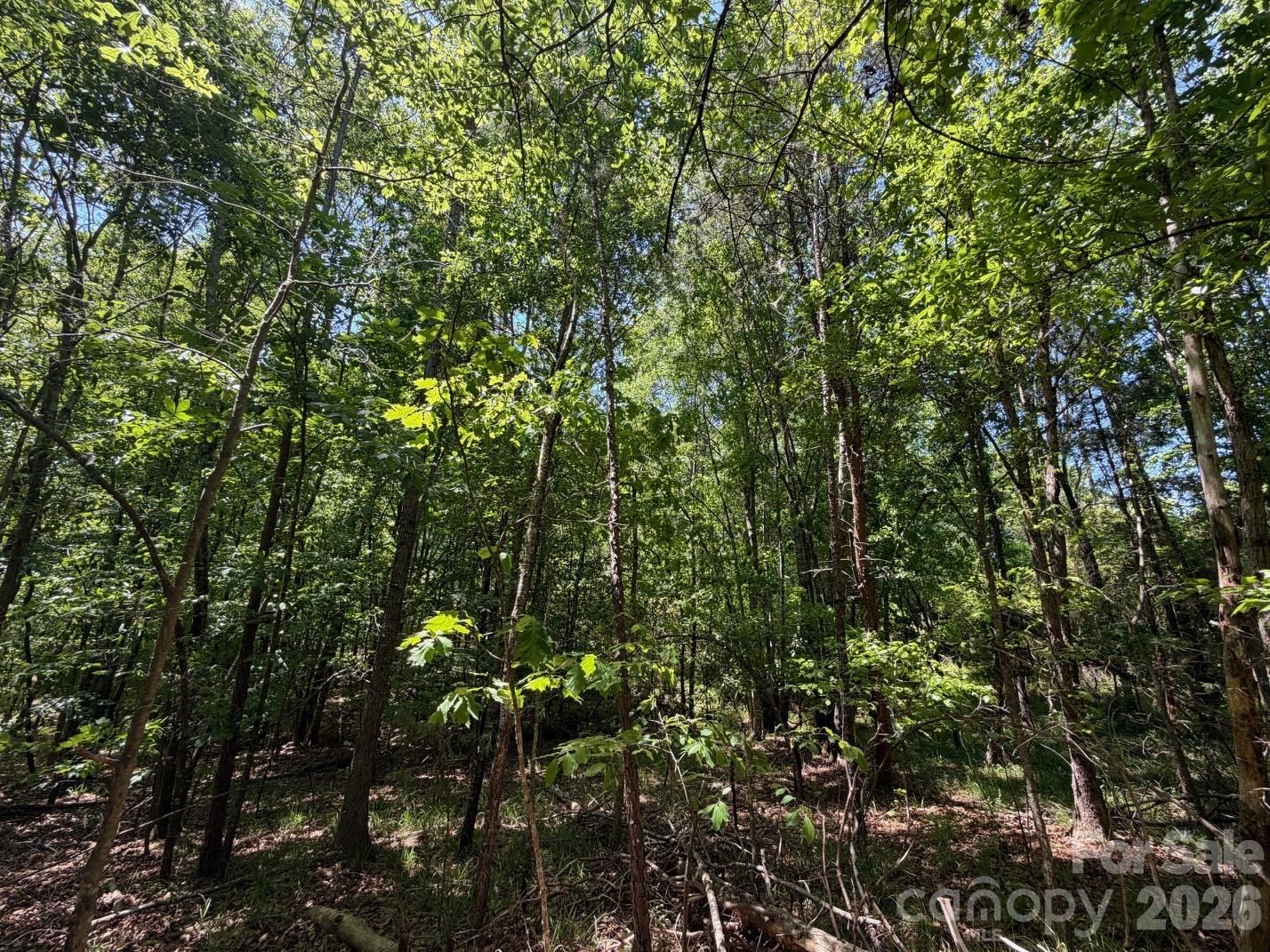 7 Ac Terry Drive Highway Property Photo 9