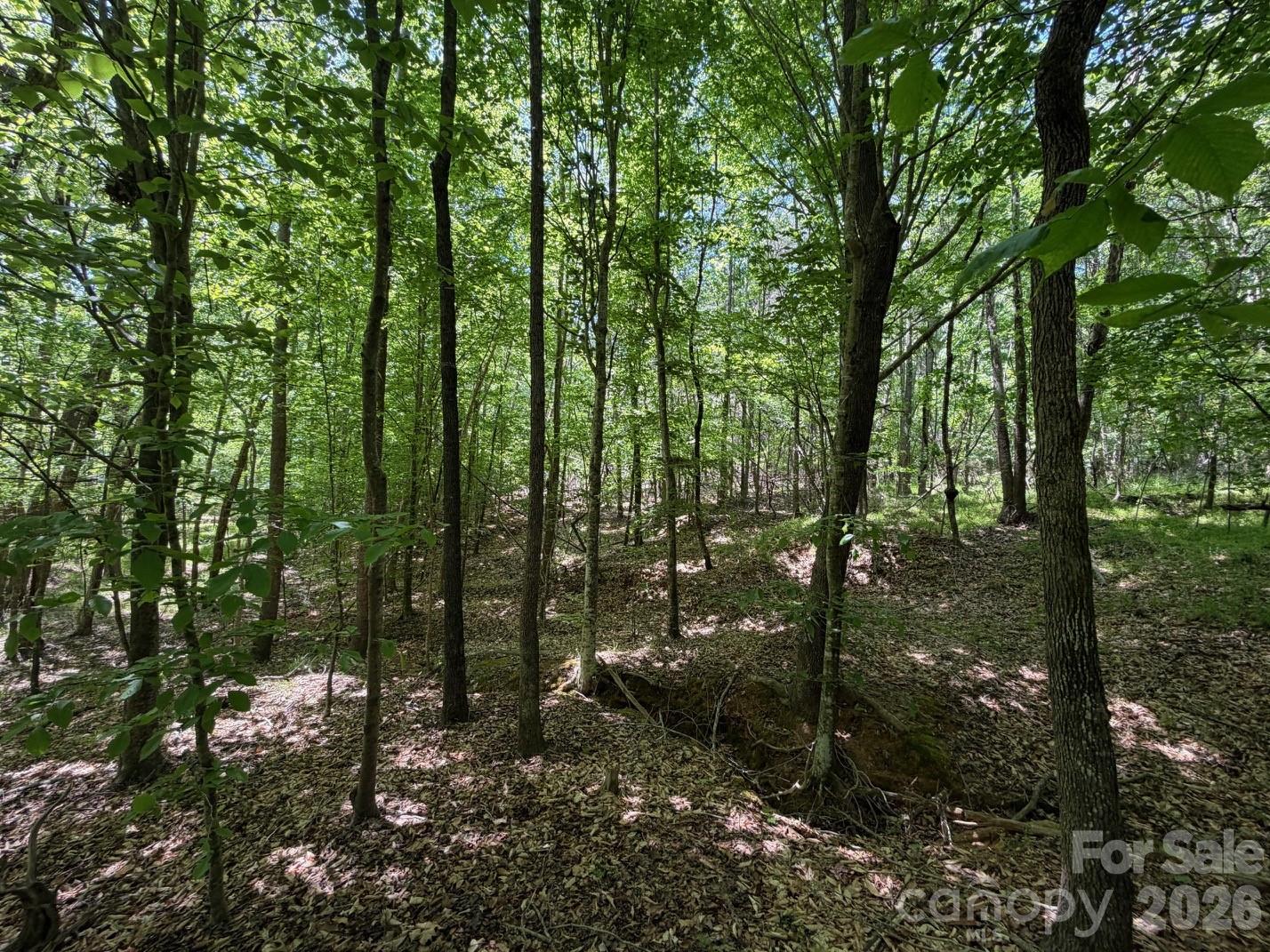 7 Ac Terry Drive Highway Property Photo 10