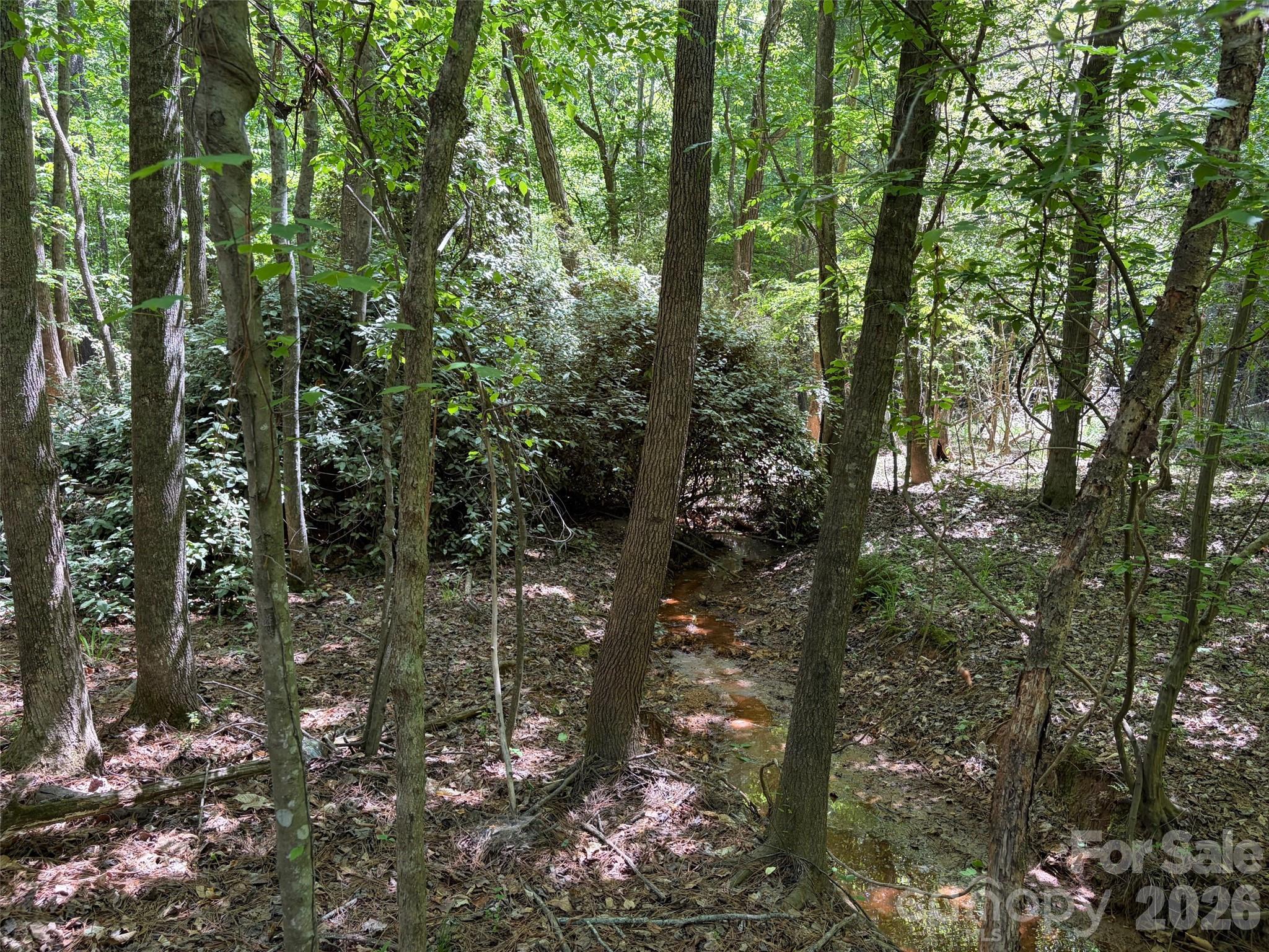 7 Ac Terry Drive Highway Property Photo 13