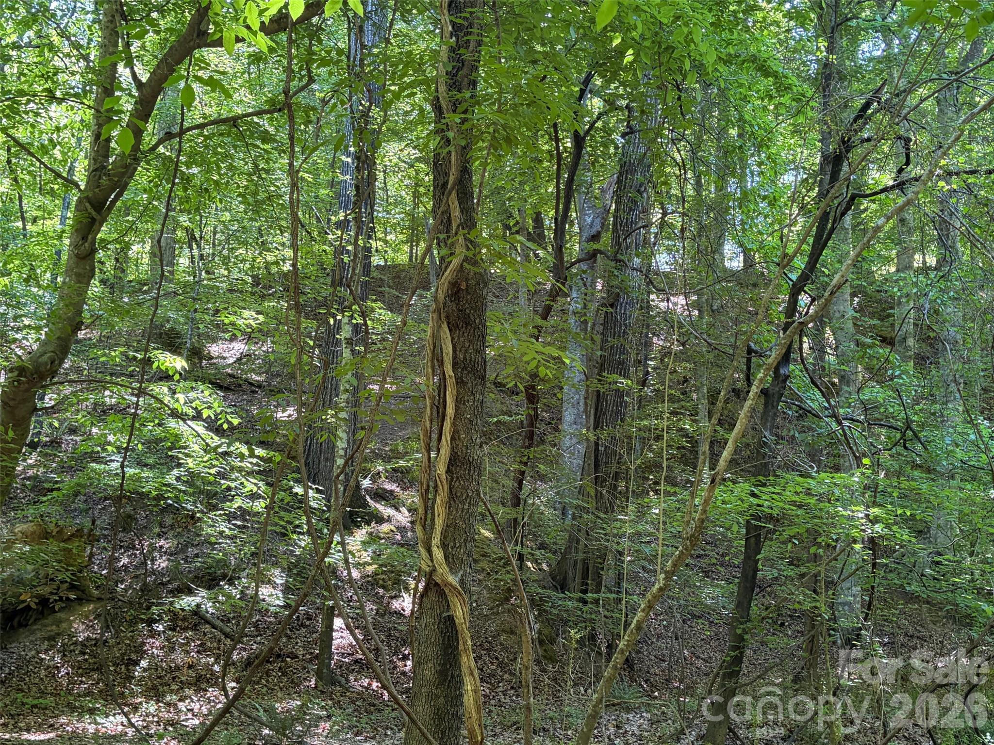 7 Ac Terry Drive Highway Property Photo 16