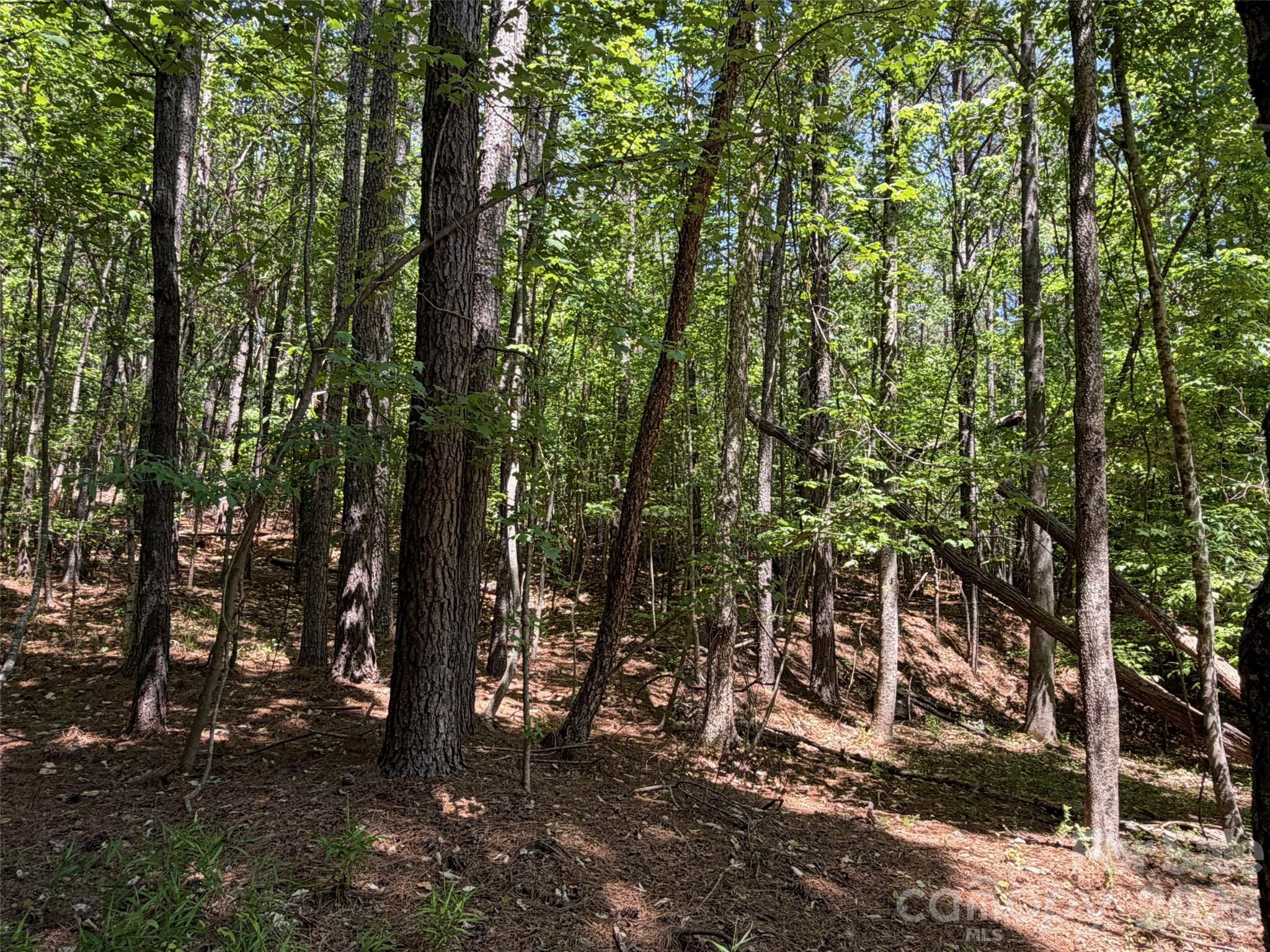 7 Ac Terry Drive Highway Property Photo 18