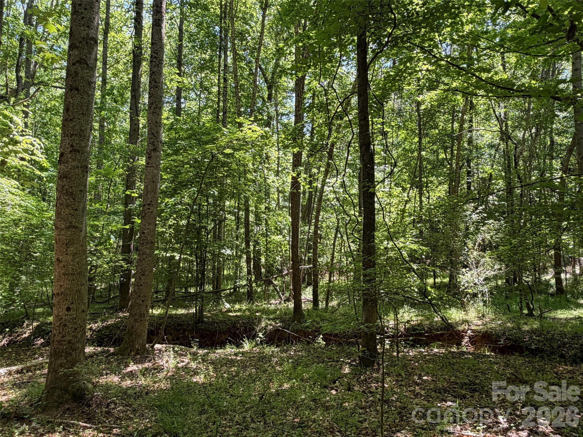 7 Ac Terry Drive Highway Property Photo 19