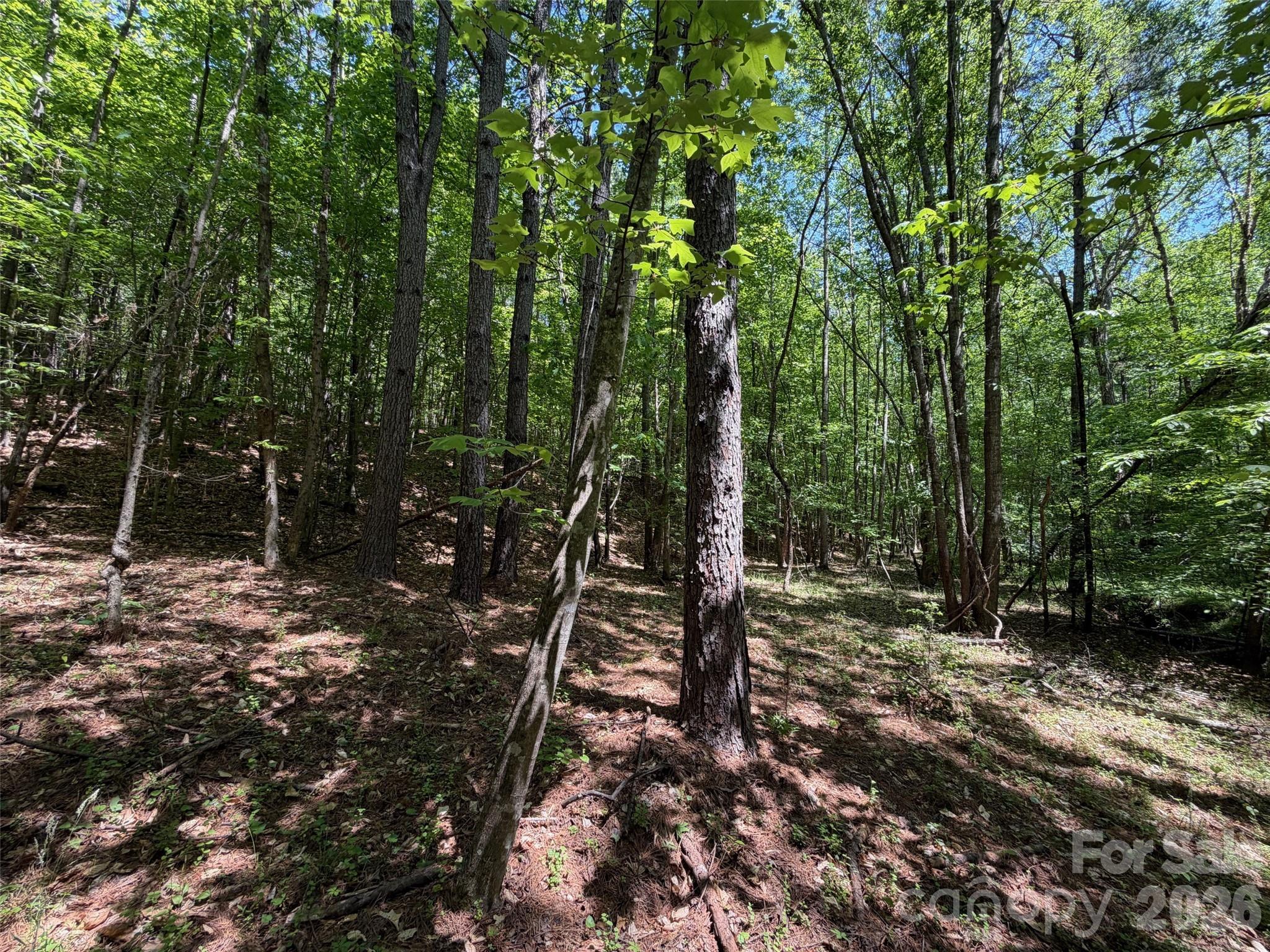 7 Ac Terry Drive Highway Property Photo 20