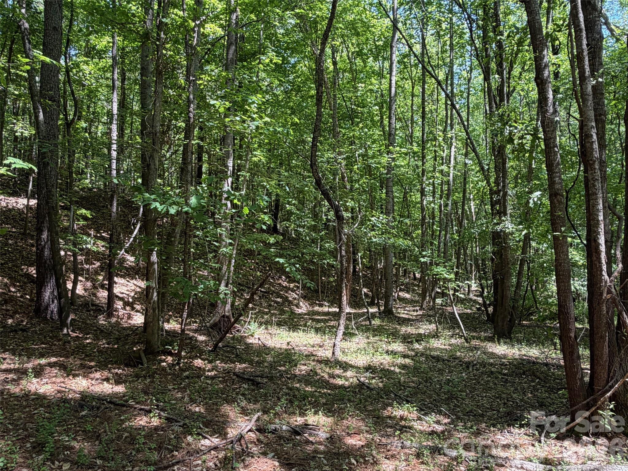 7 Ac Terry Drive Highway Property Photo 21