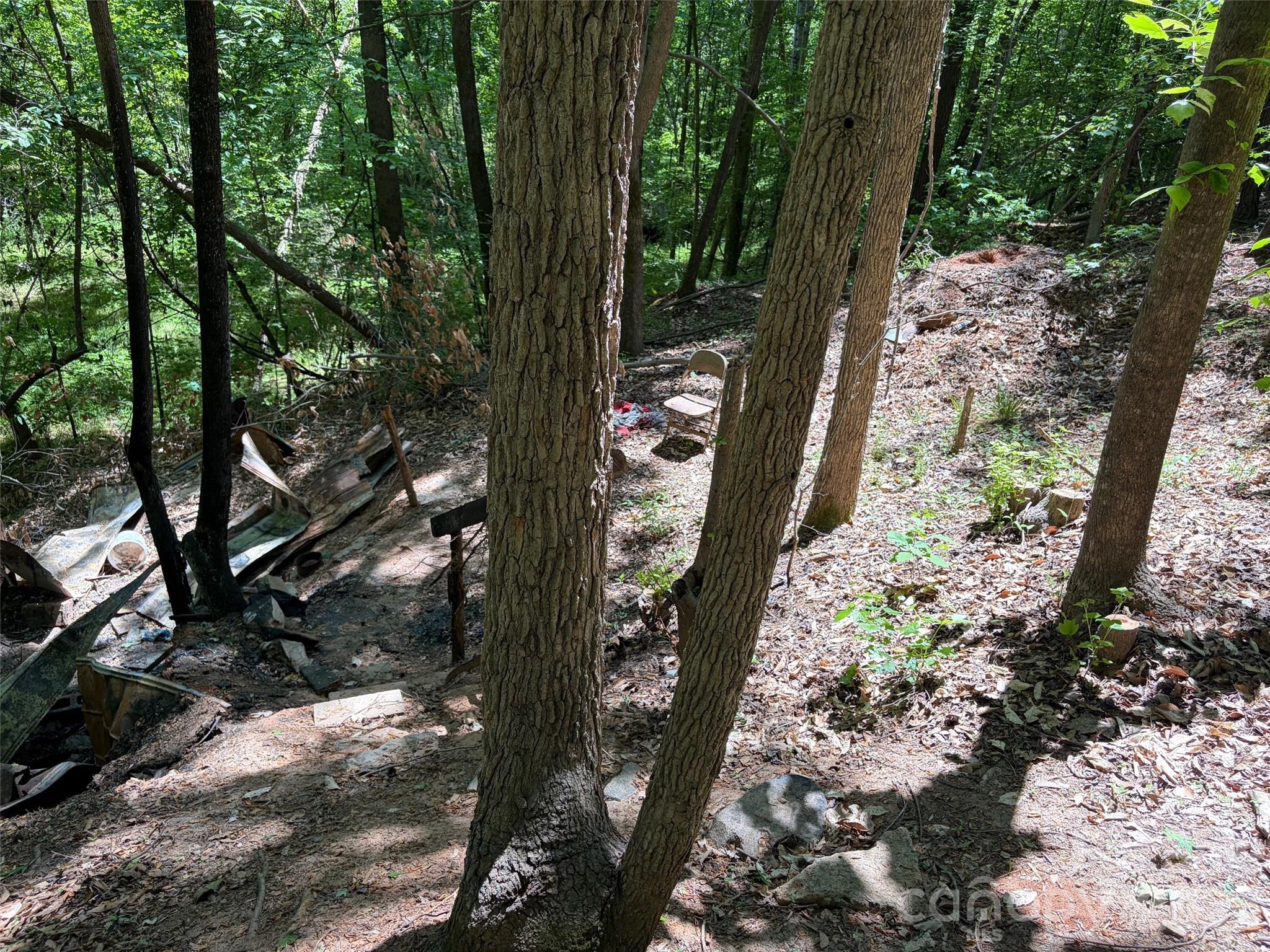7 Ac Terry Drive Highway Property Photo 23