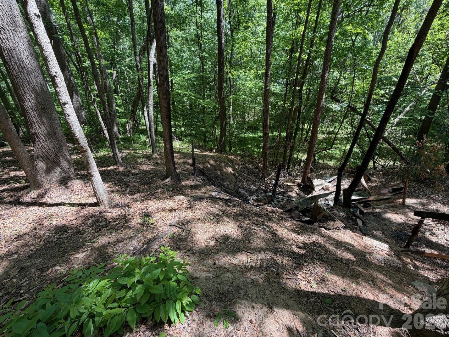 7 Ac Terry Drive Highway Property Photo 24