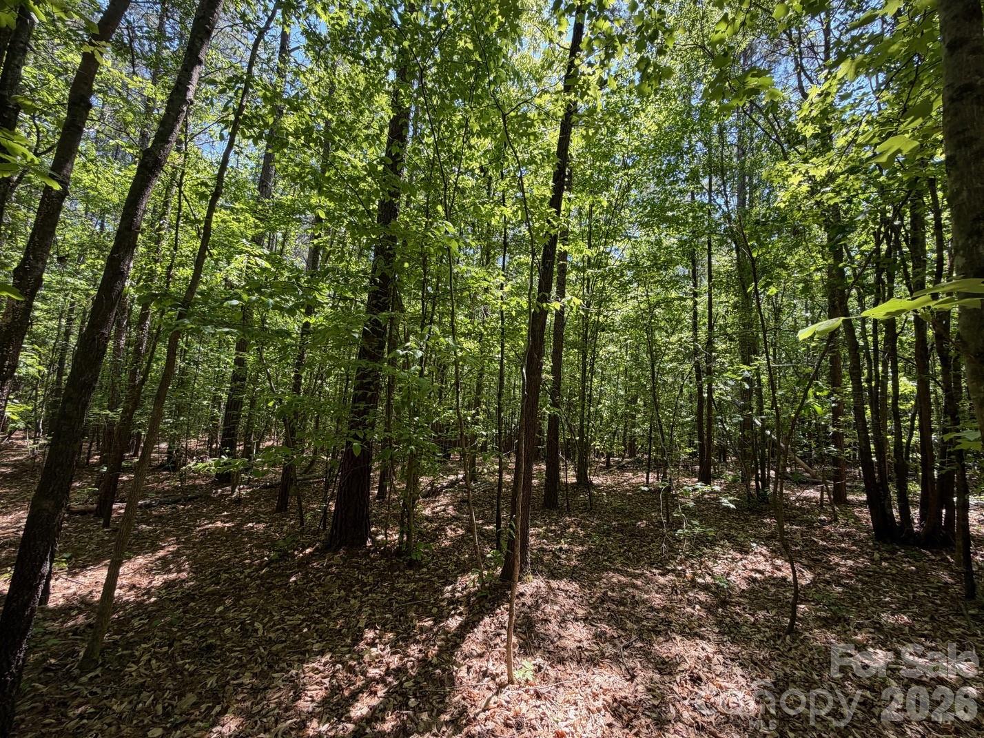7 Ac Terry Drive Highway Property Photo 26