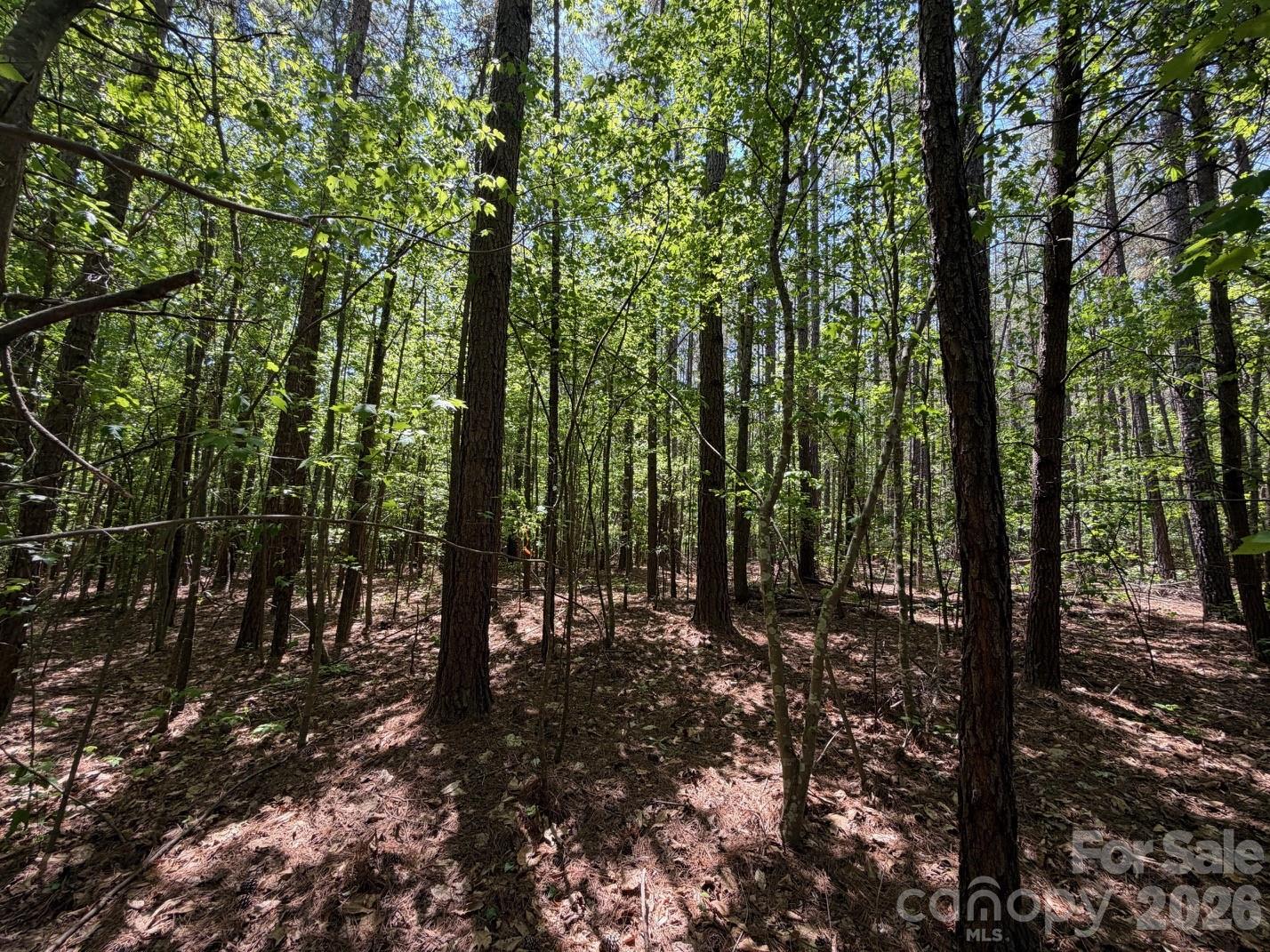 7 Ac Terry Drive Highway Property Photo 27