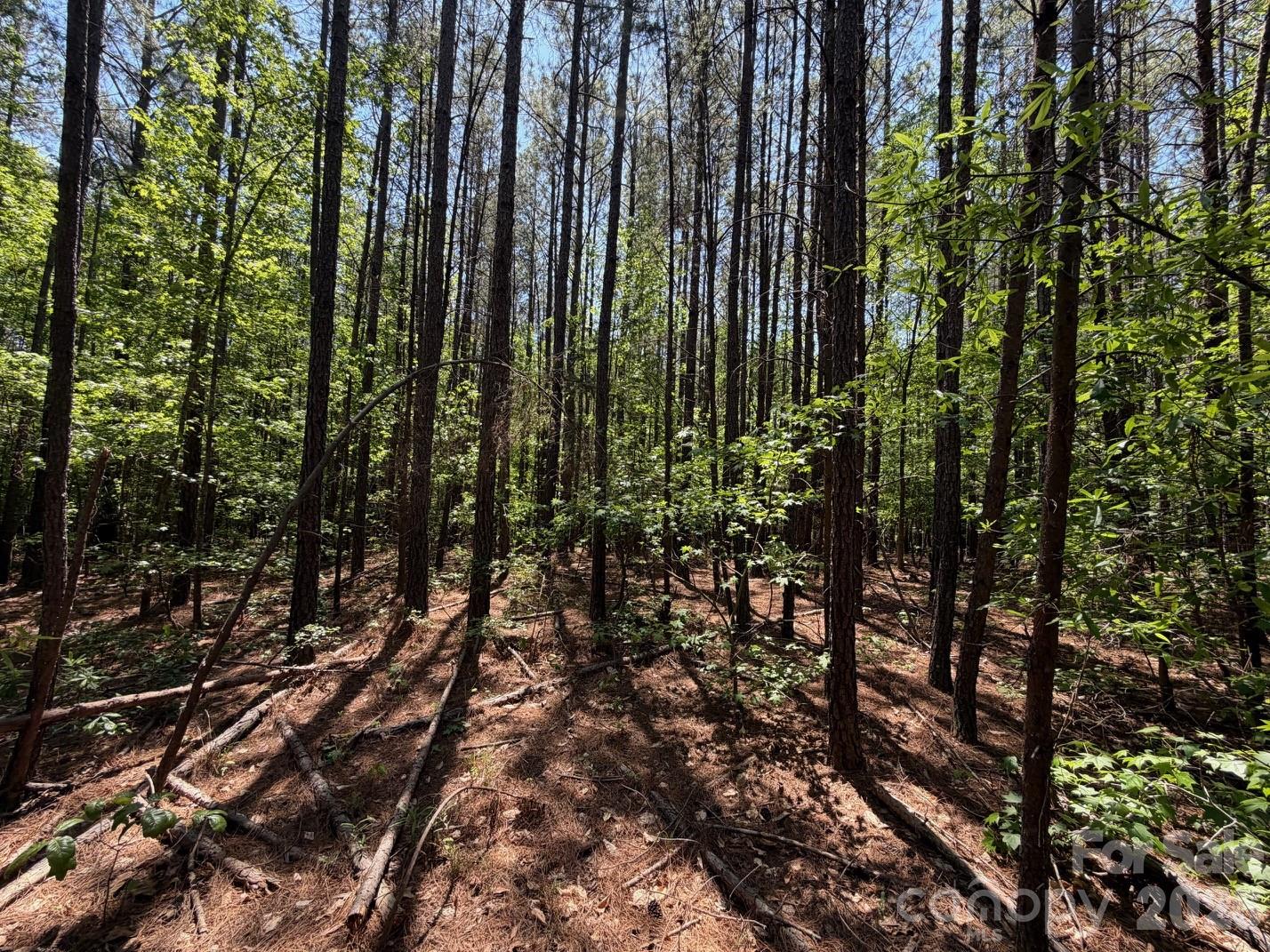 7 Ac Terry Drive Highway Property Photo 28