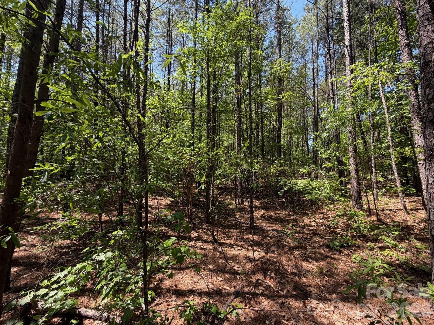 7 Ac Terry Drive Highway Property Photo 29