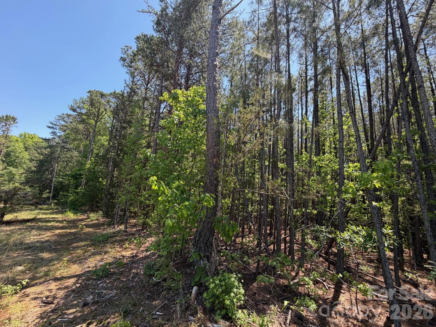 7 Ac Terry Drive Highway Property Photo 31