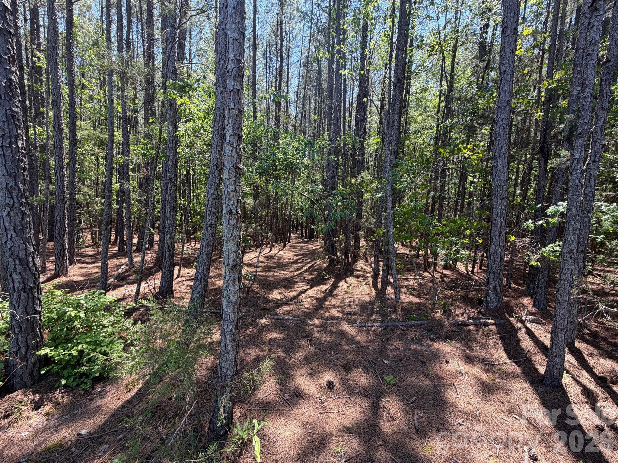 7 Ac Terry Drive Highway Property Photo 32
