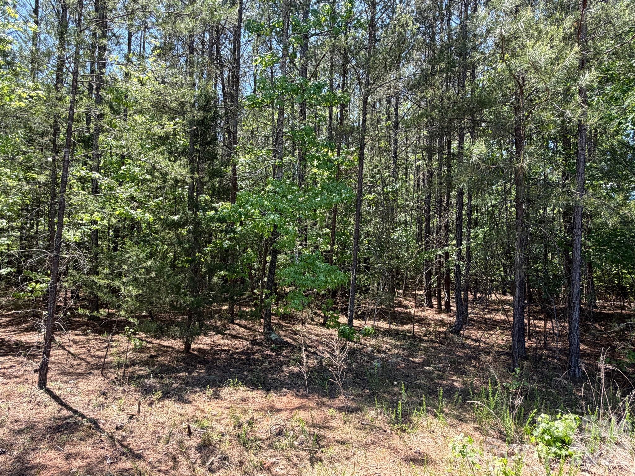 7 Ac Terry Drive Highway Property Photo 34