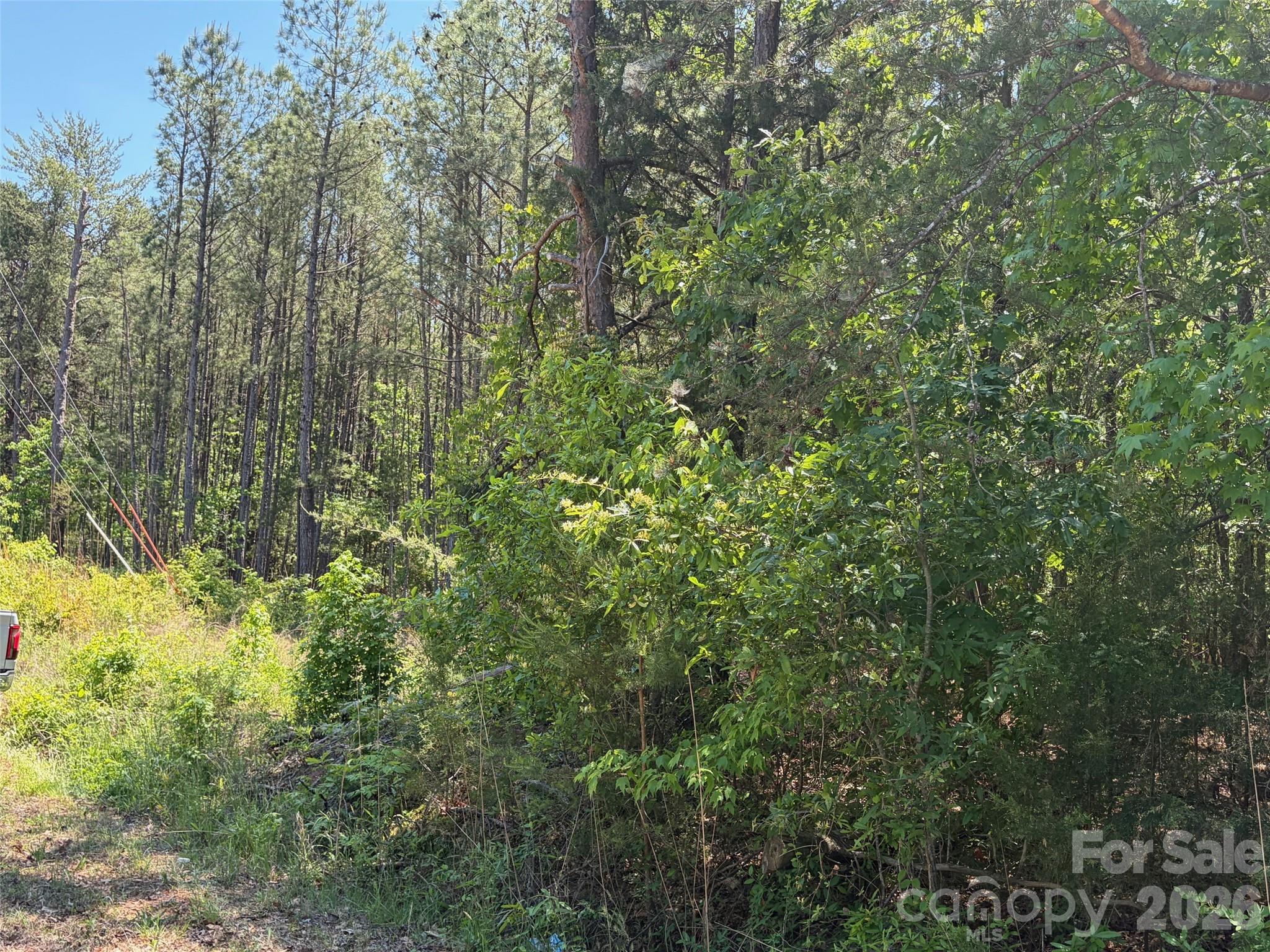 7 Ac Terry Drive Highway Property Photo 35