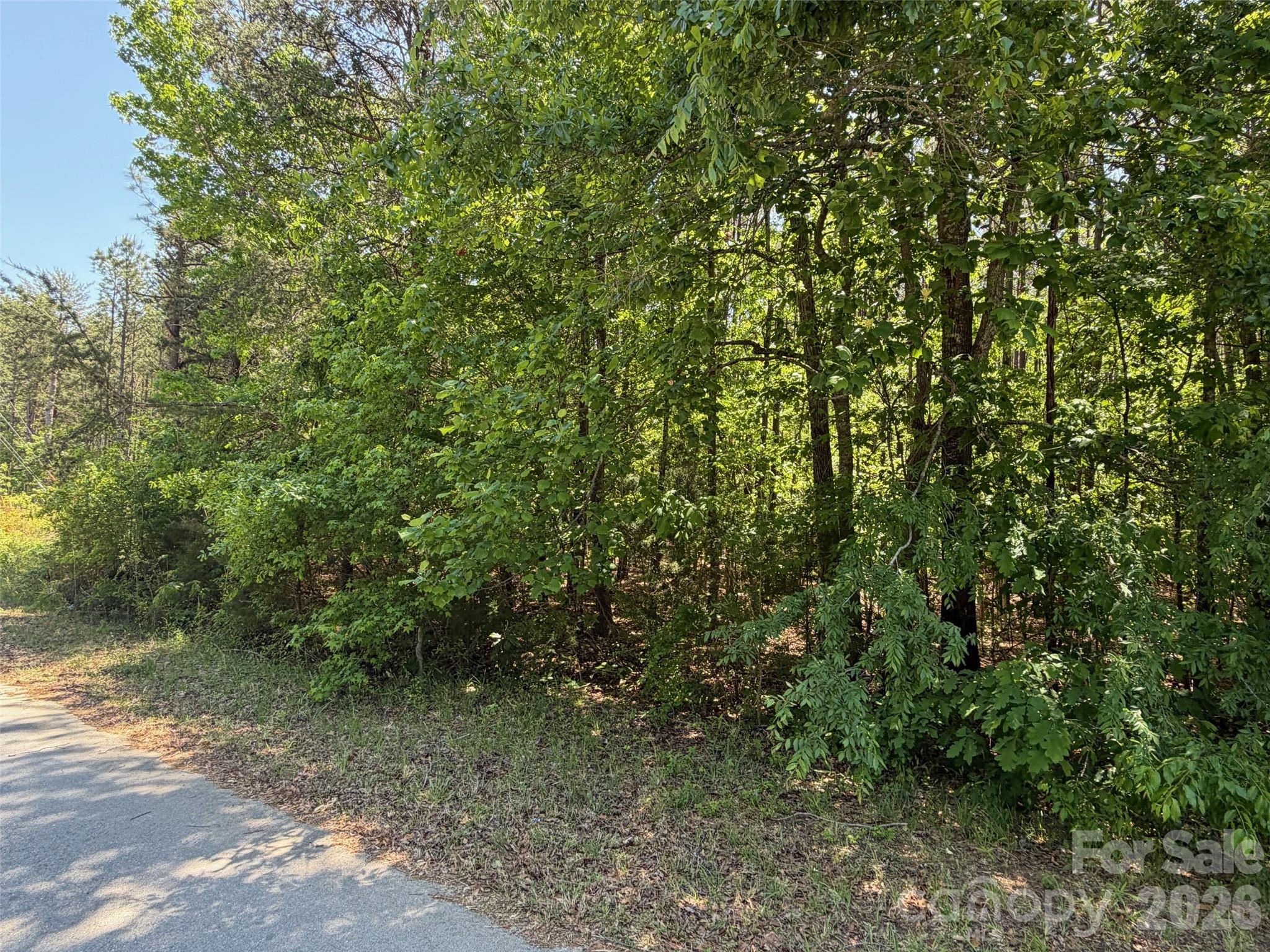 7 Ac Terry Drive Highway Property Photo 37