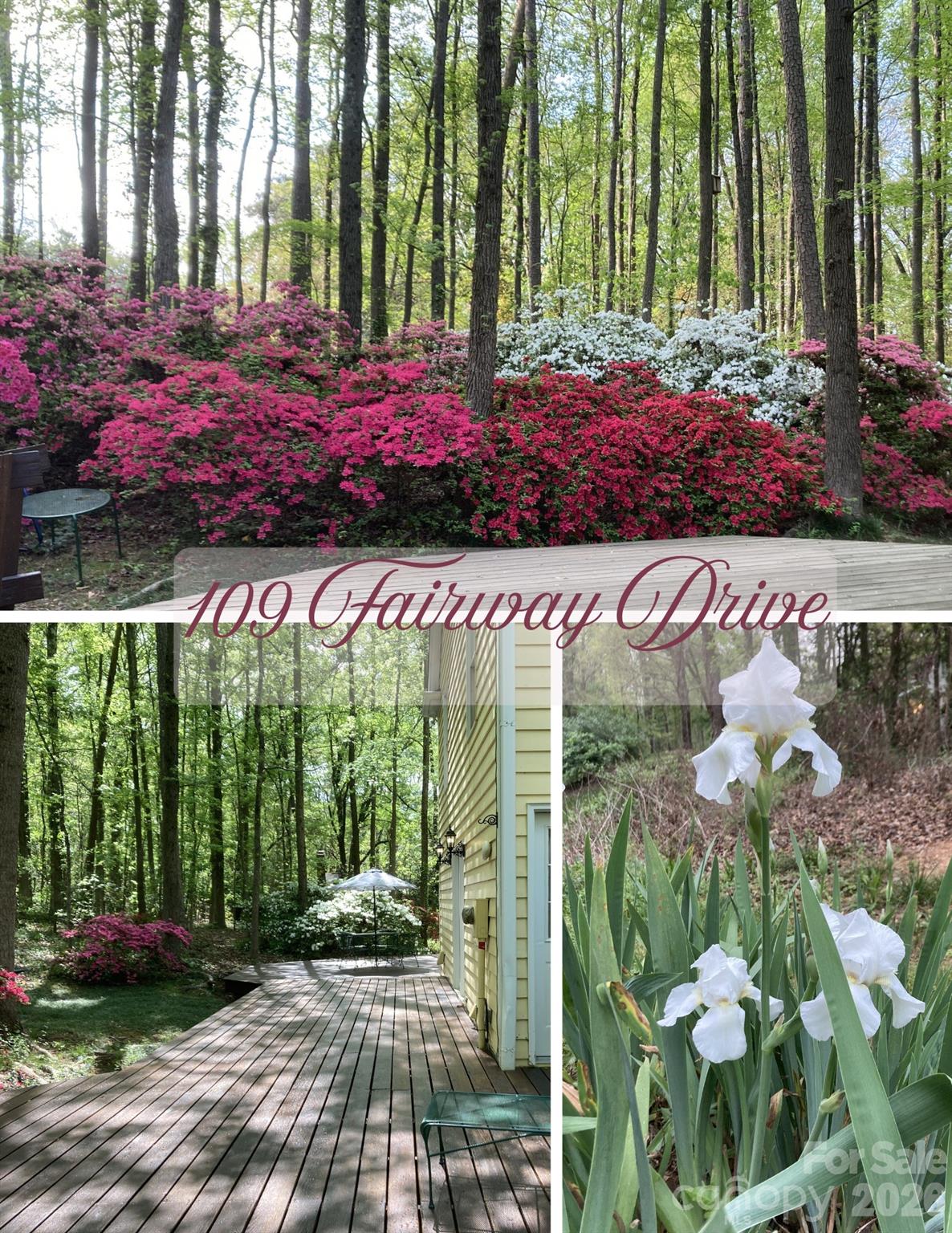 109 Fairway Drive Property Photo 47