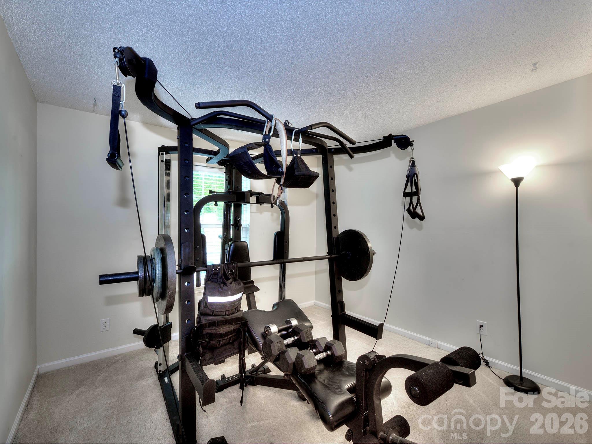 3102 Mintleaf Drive Property Photo 19