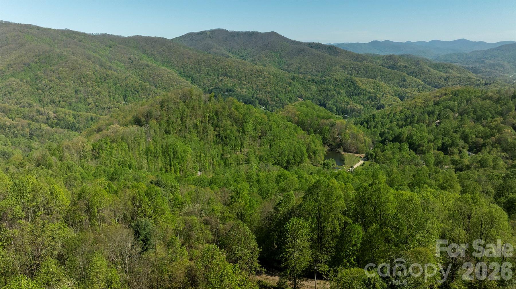 95 Lasso Lane Property Photo 36