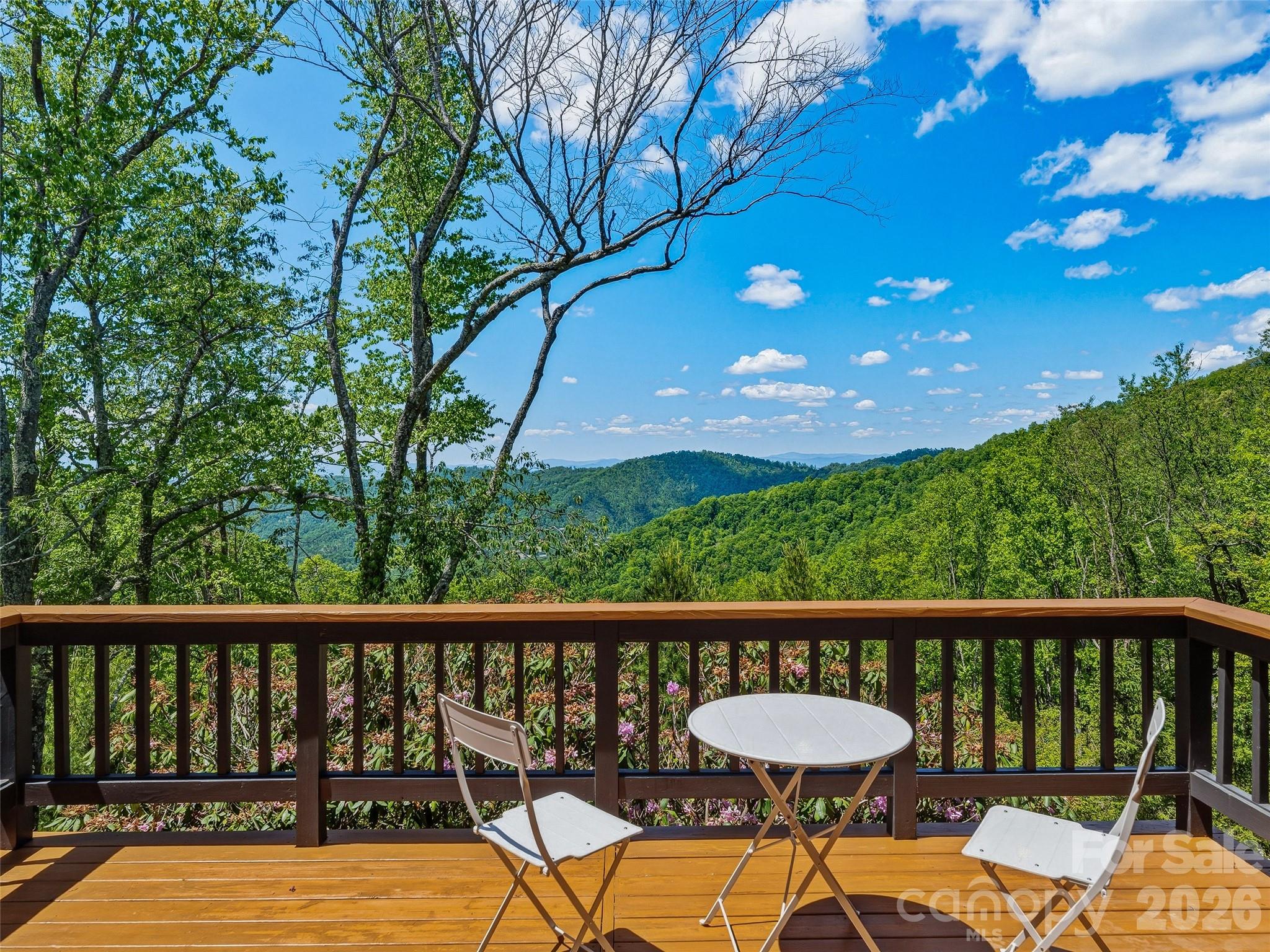 100 Big Spring Drive Property Photo 33