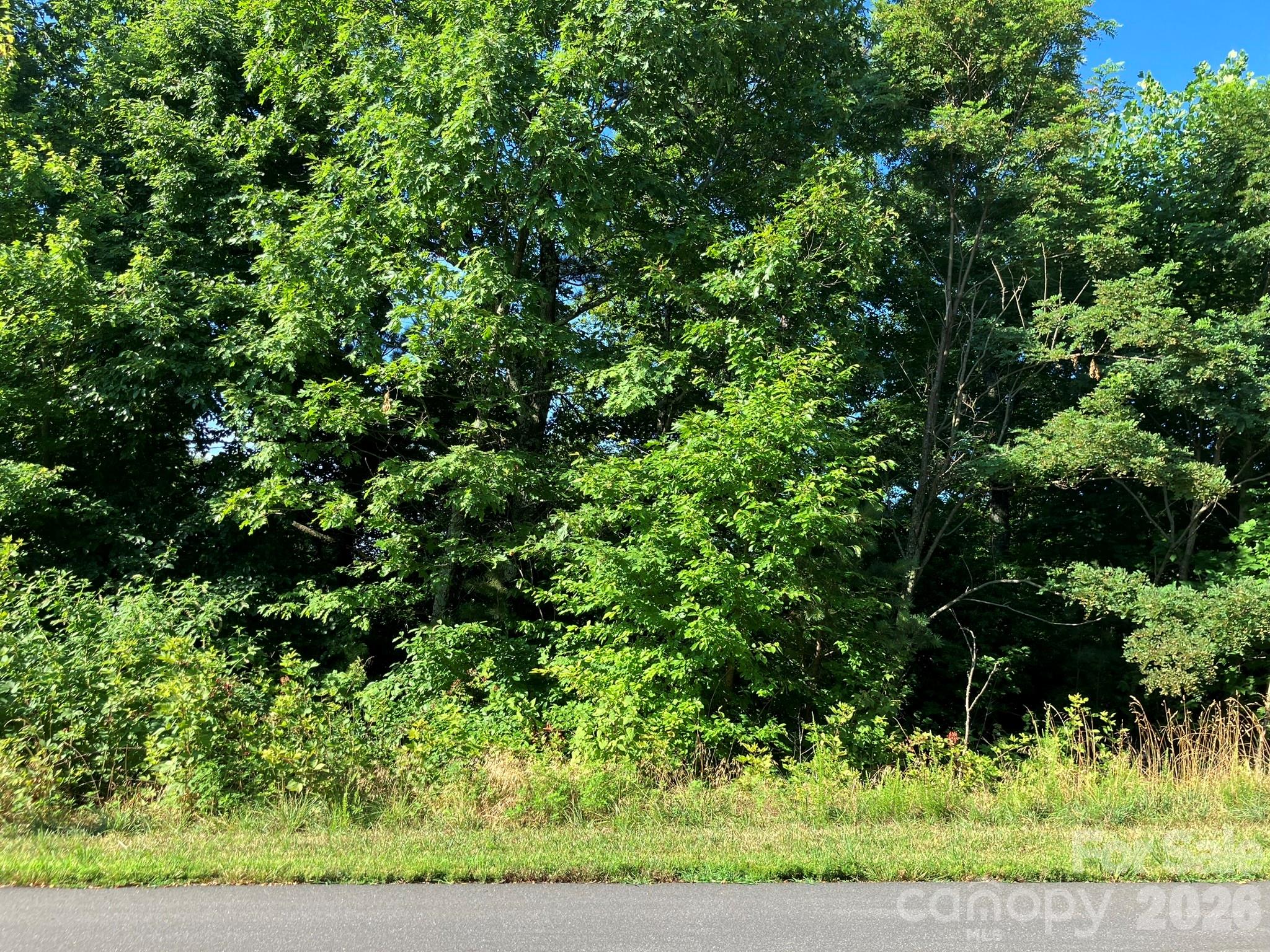 0 Grey Rock Parkway 250 Property Photo 16
