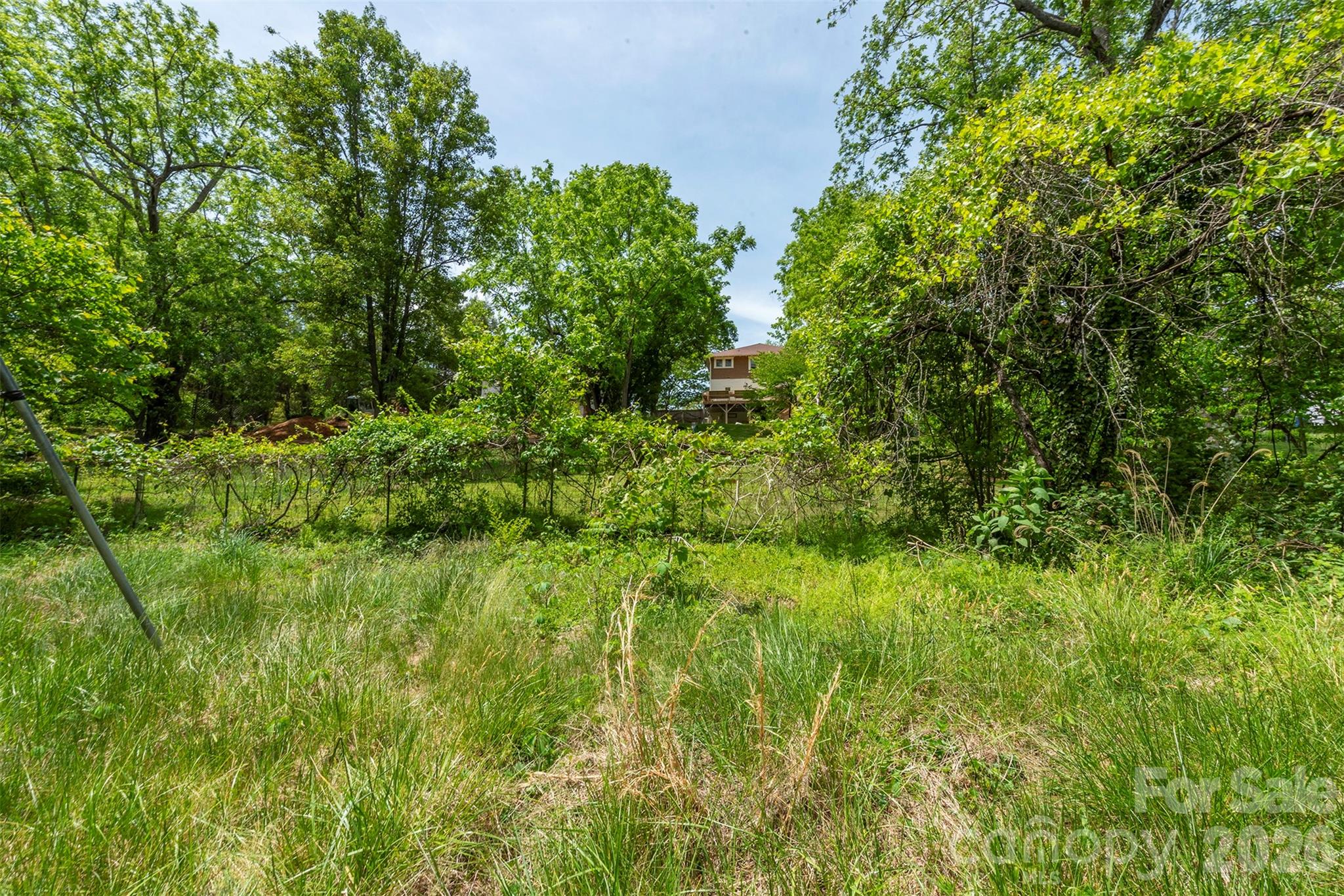 15 Greeley Street Property Photo 5