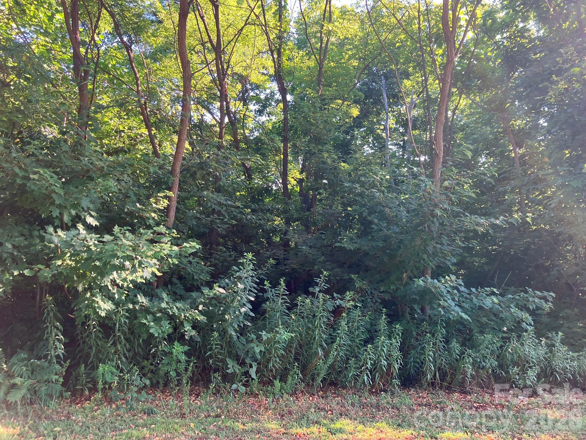 0 Grey Rock Parkway 225 Property Photo 15