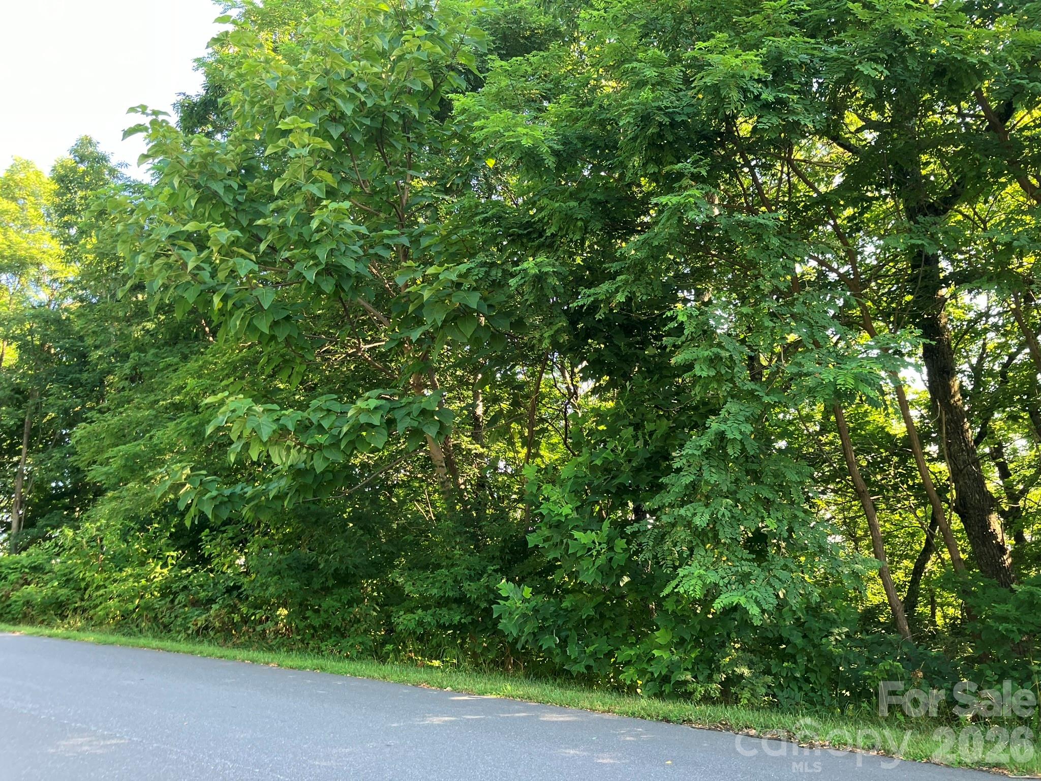 0 Grey Rock Parkway 271 Property Photo 14