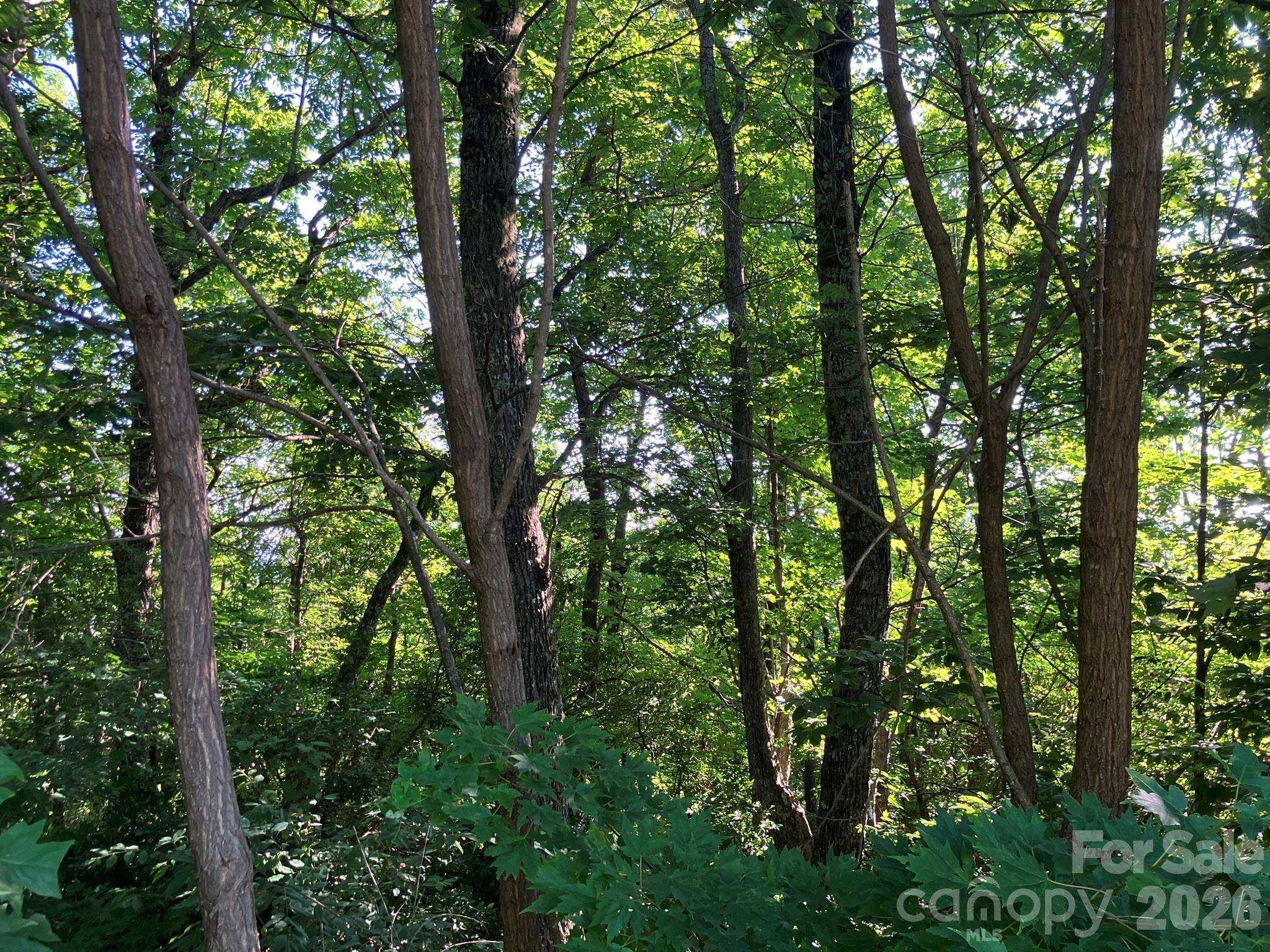 0 Grey Rock Parkway 271 Property Photo 15