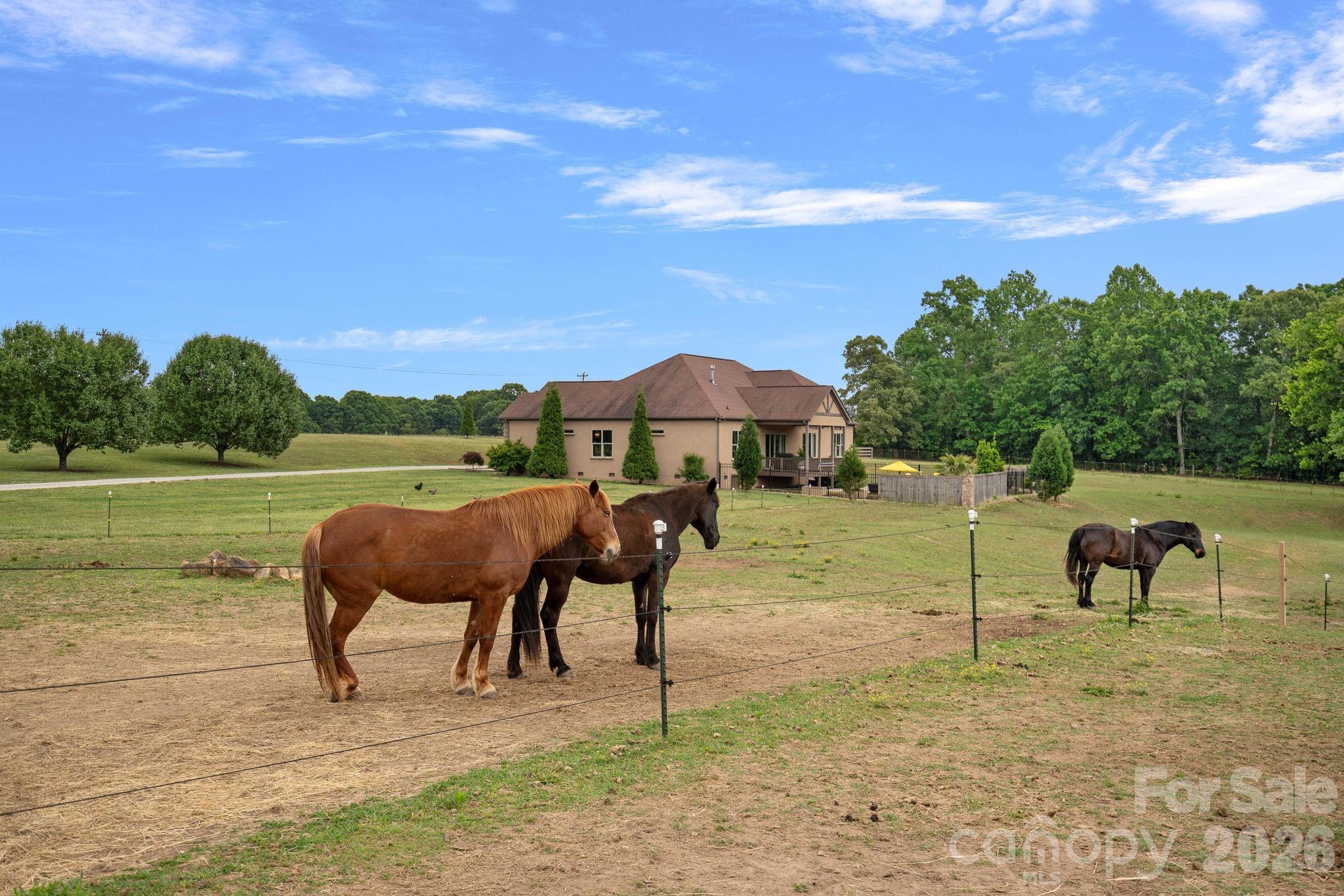 2151 Brown Chapel Road Property Photo 43