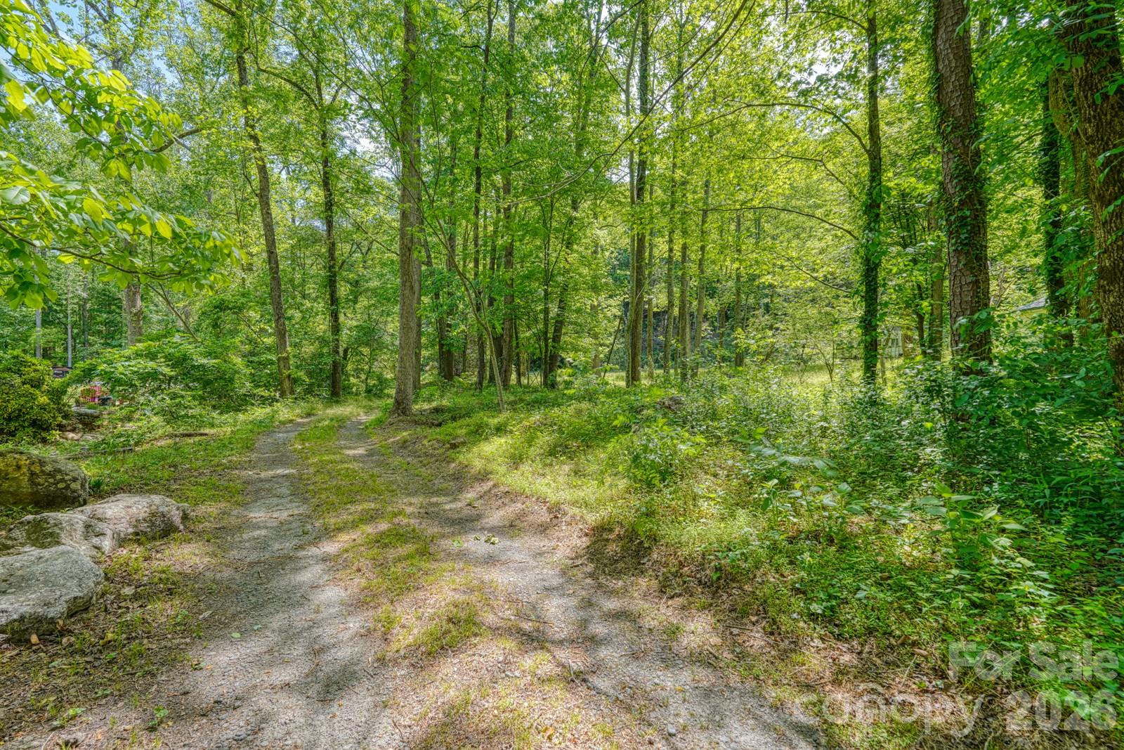 123 Little Rock Way Property Photo 43