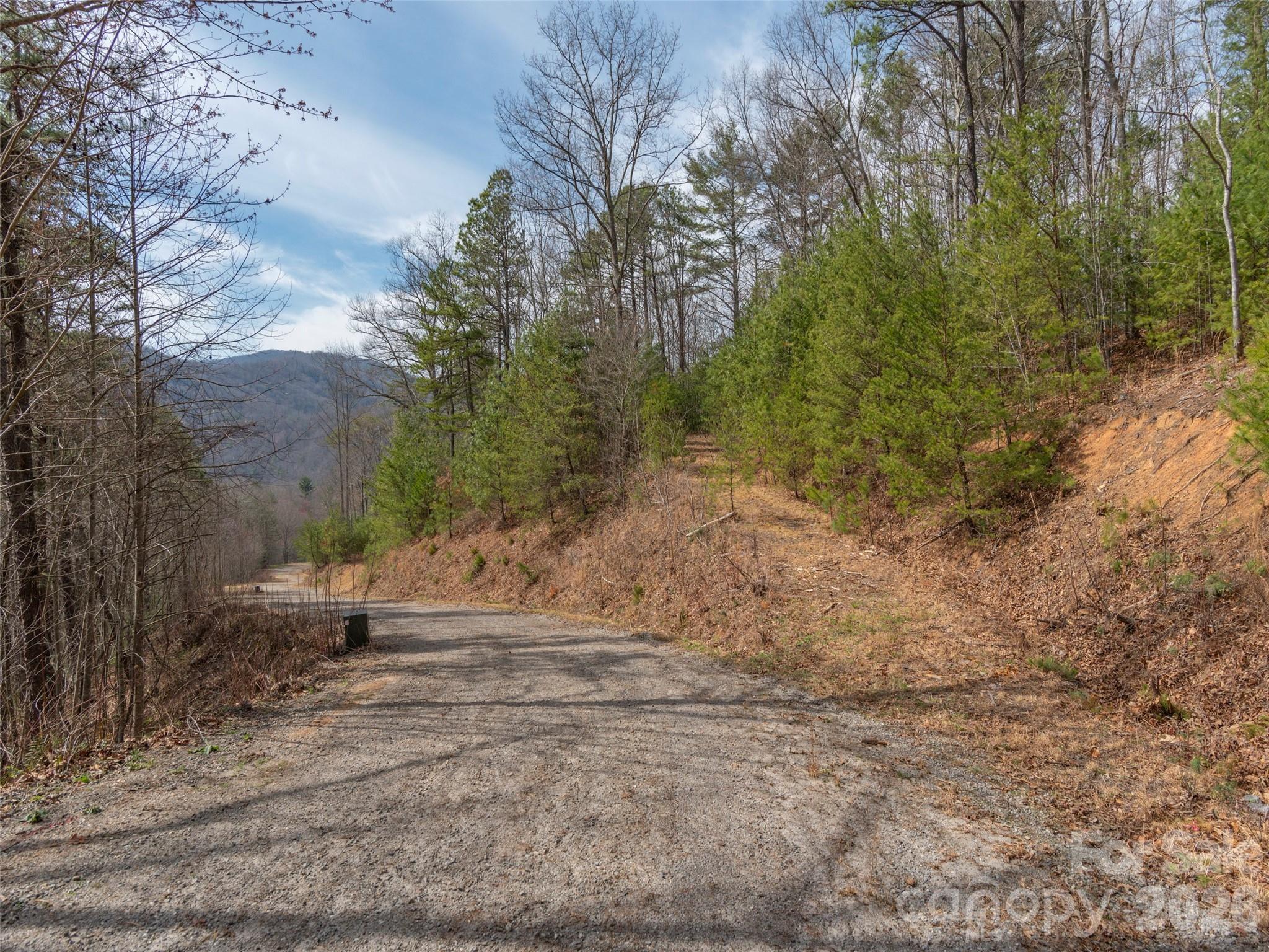 454 Dream Valley Drive Property Photo 2