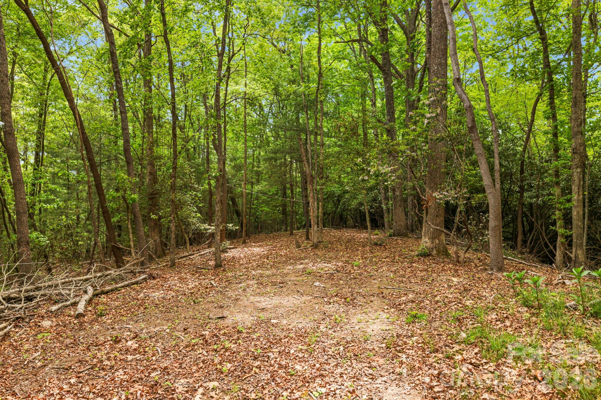 137 Bird Song Road 3 Property Photo 10