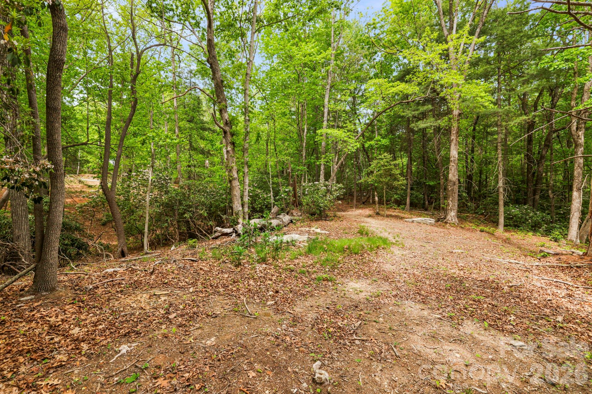 137 Bird Song Road 3 Property Photo 17
