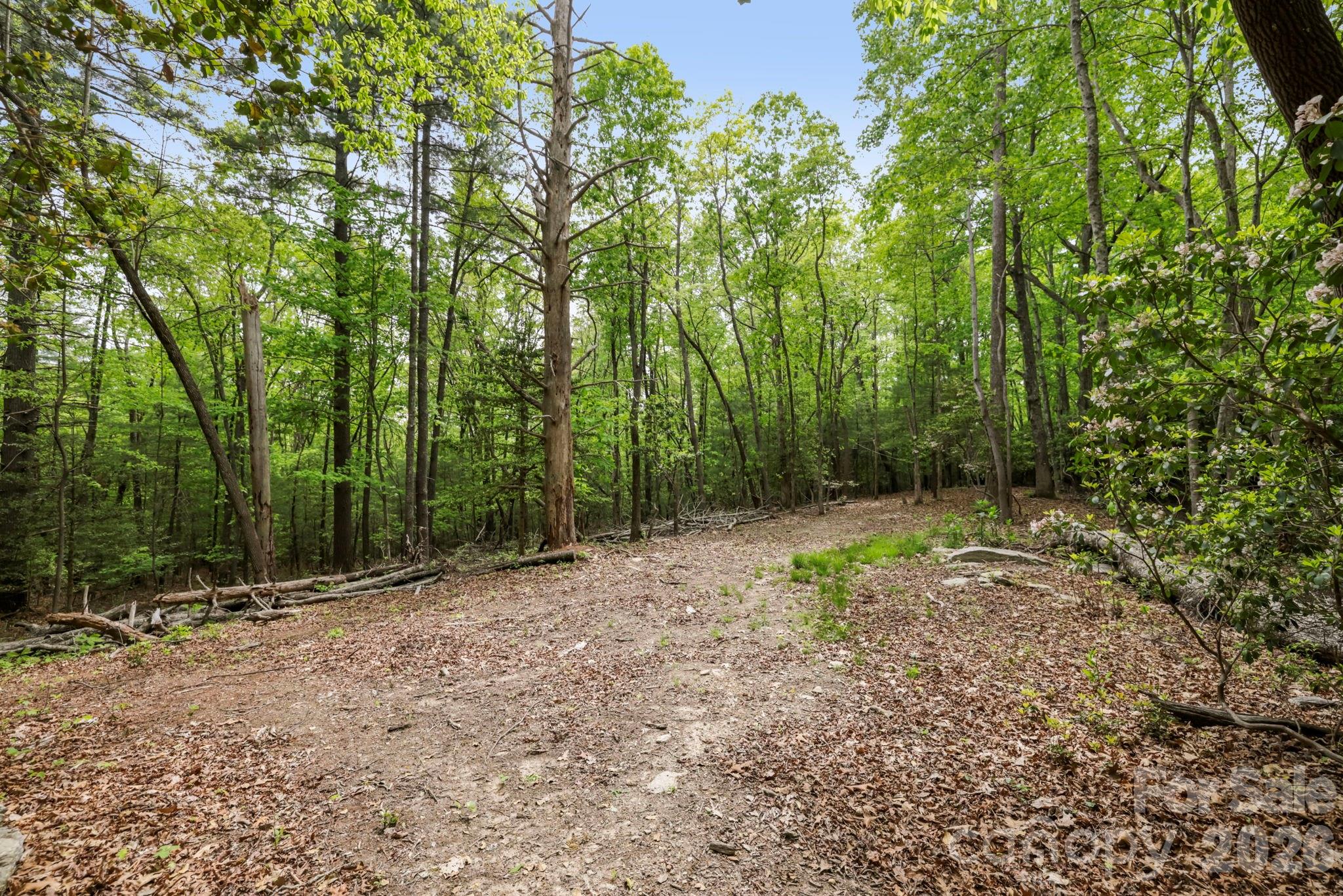 137 Bird Song Road 3 Property Photo 23