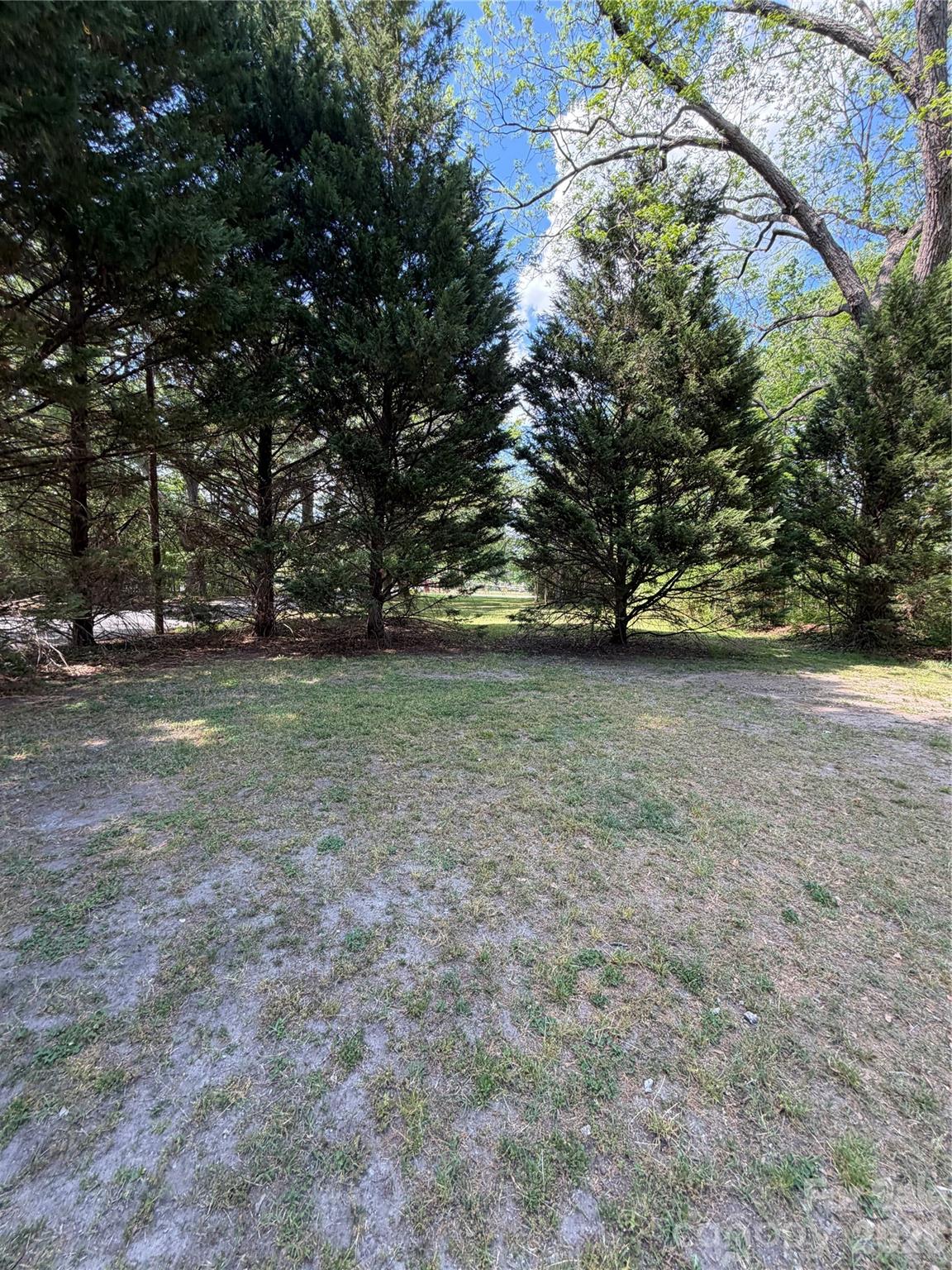 1101 E Pine Street Property Photo 2