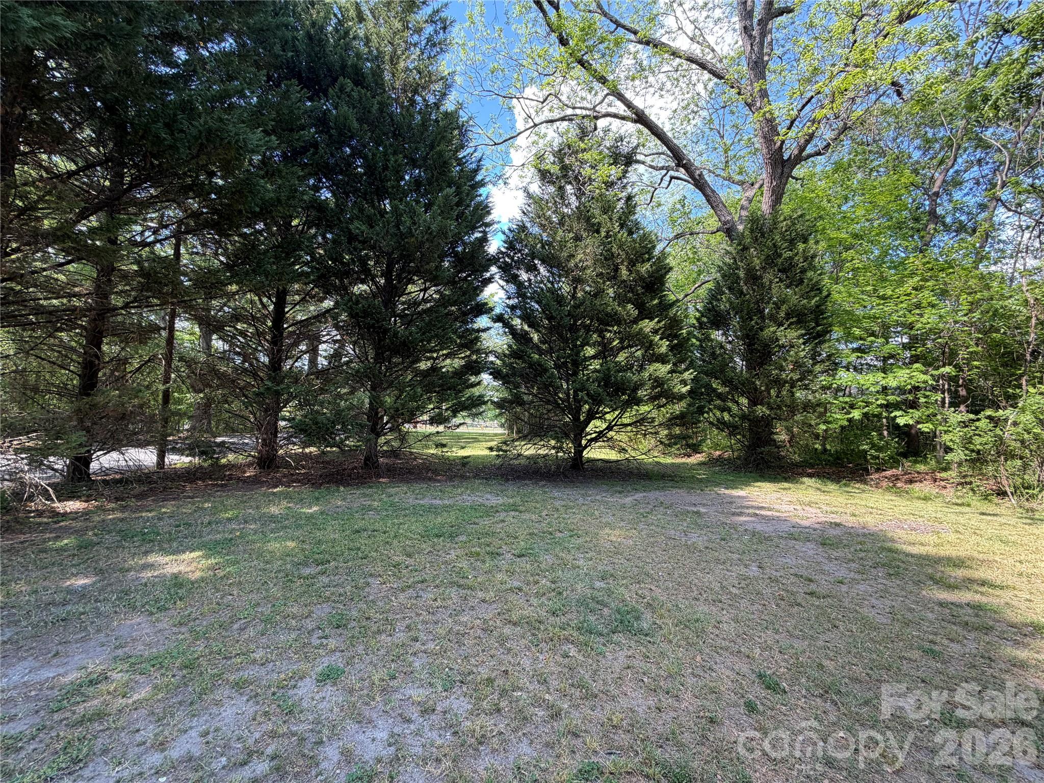 1101 E Pine Street Property Photo 3