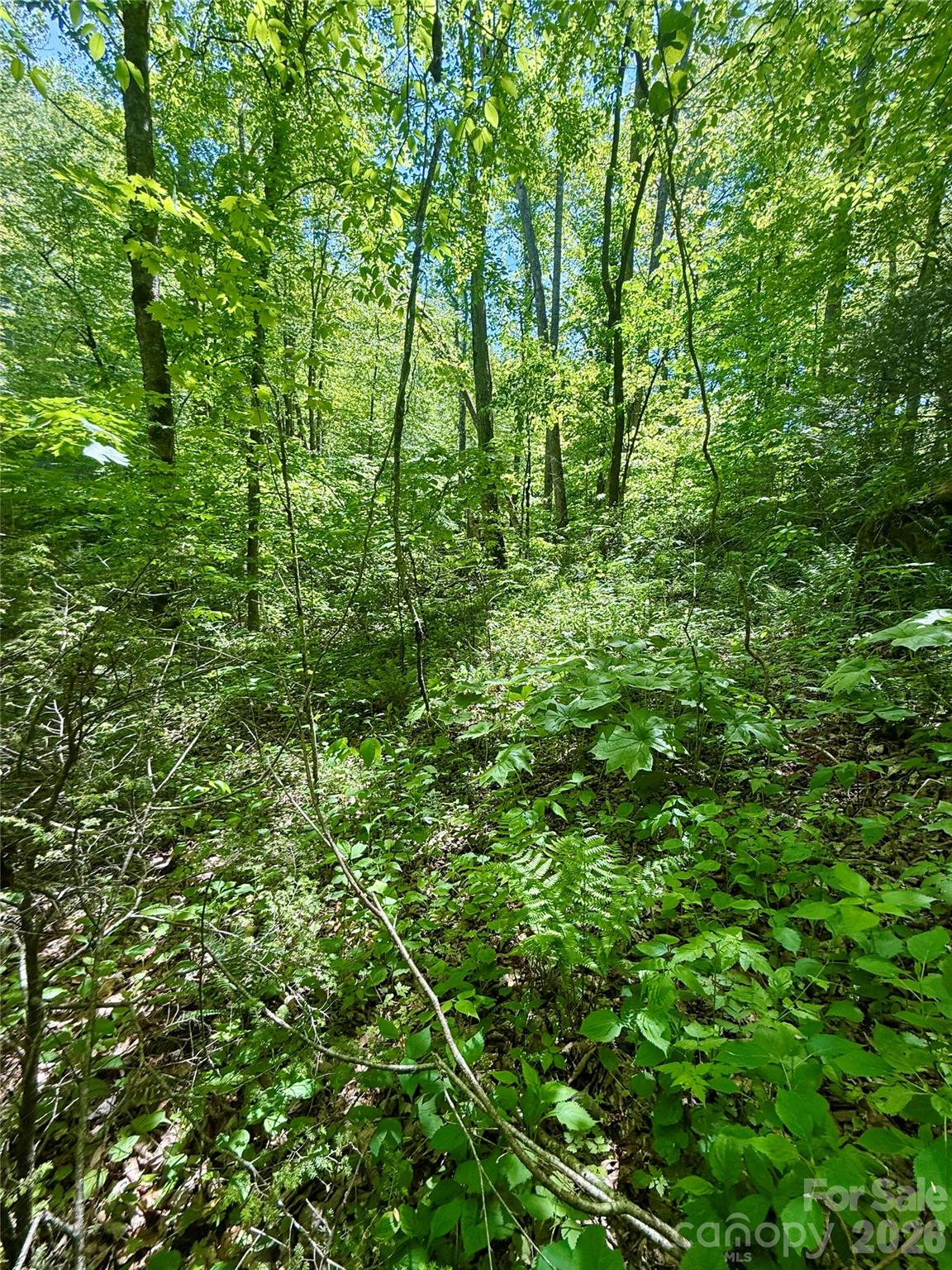 Tbd Highway 107 None Lot 1 Property Photo 2