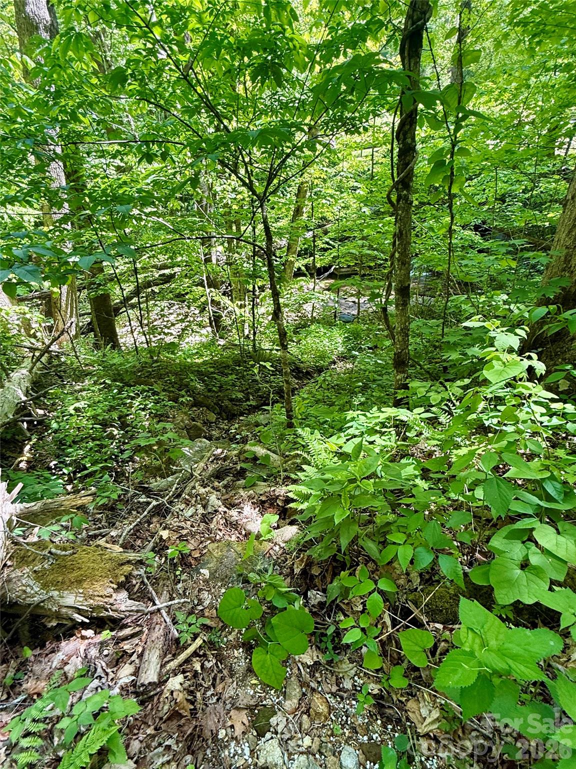 Tbd Highway 107 None Lot 1 Property Photo 10