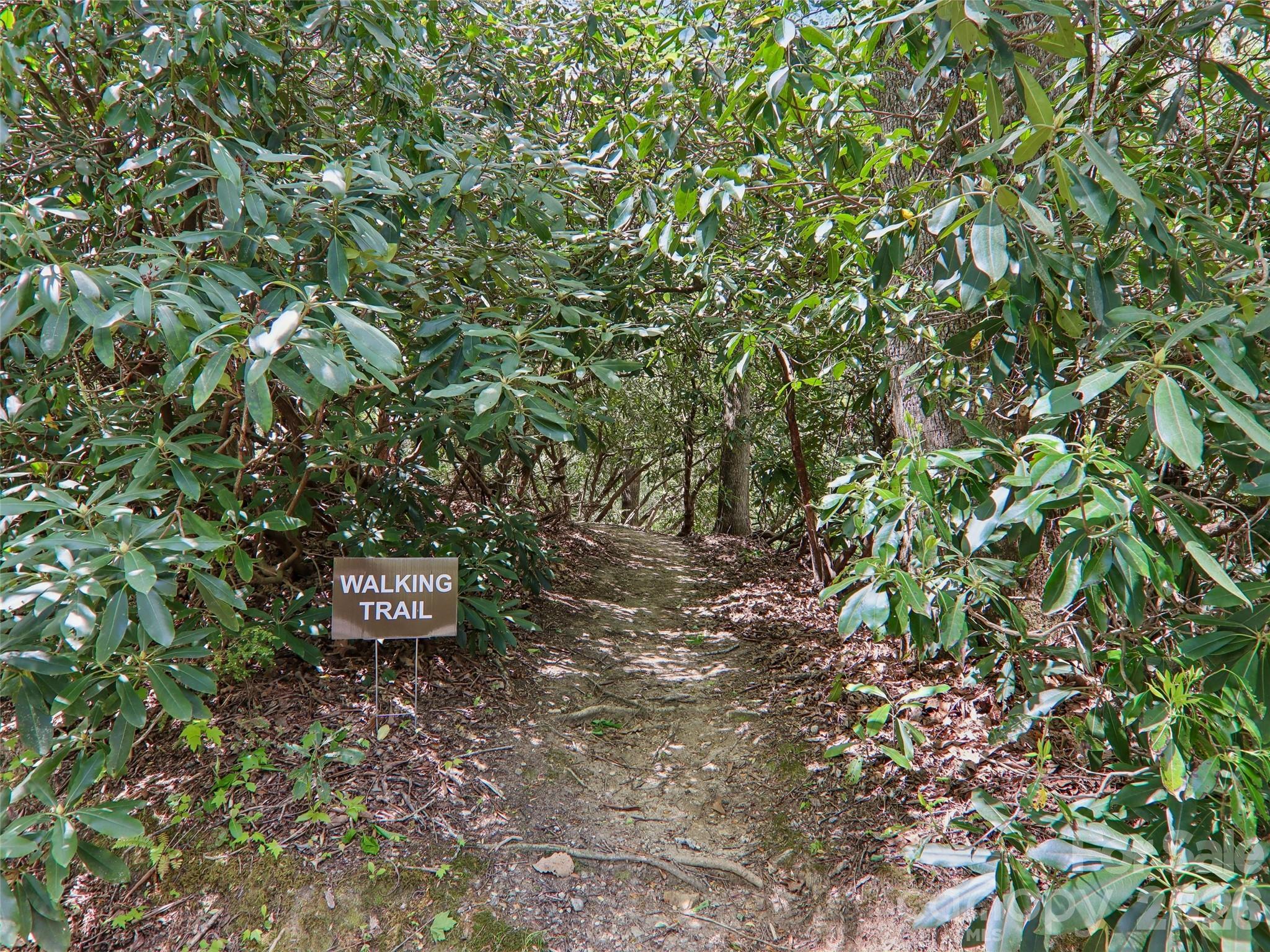 554 Pisgah Forest Drive Property Photo 41