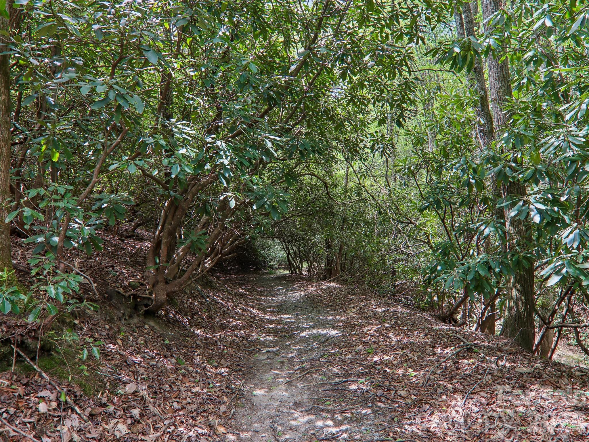 554 Pisgah Forest Drive Property Photo 42